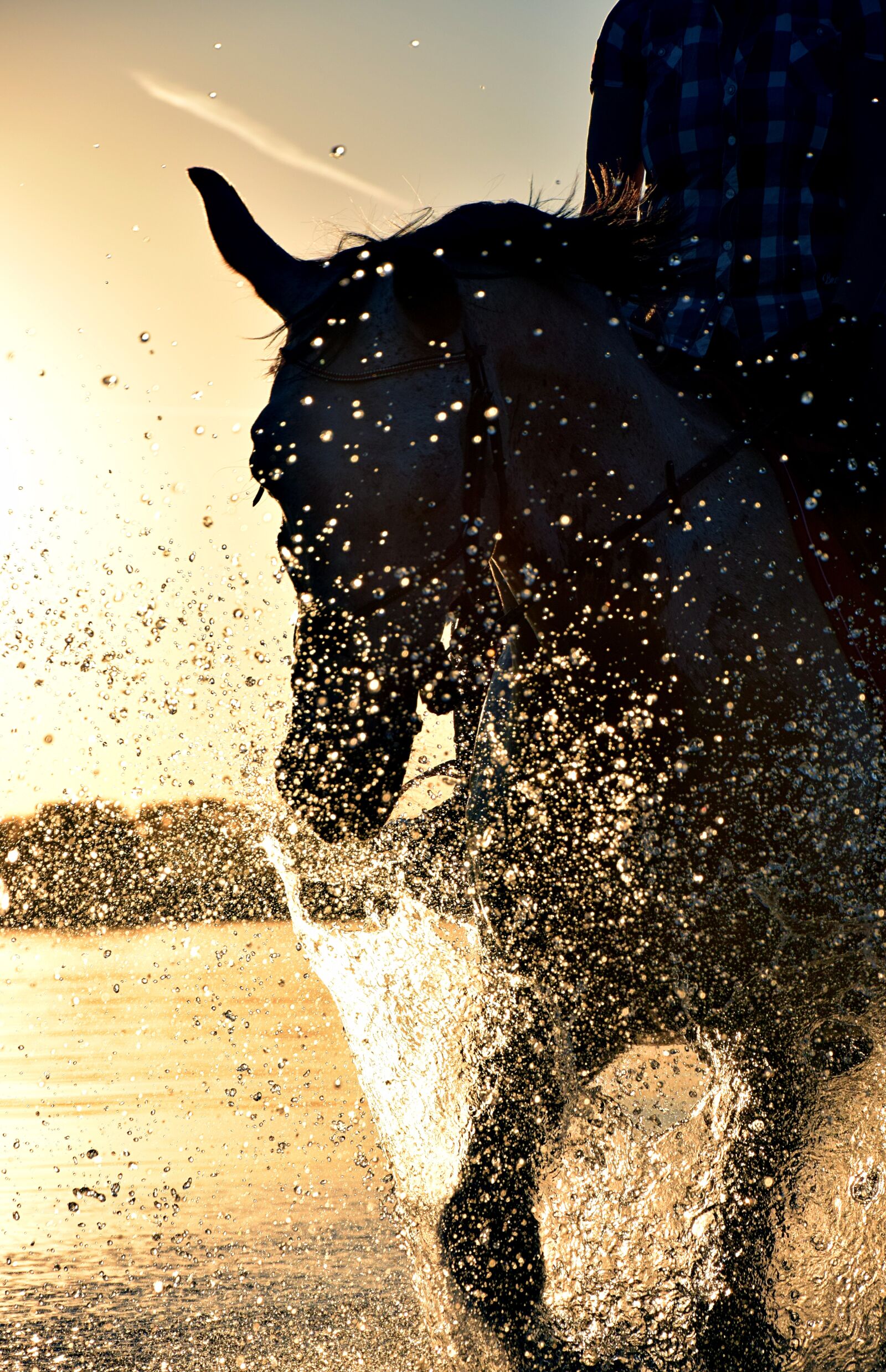 Nikon D3300 sample photo. Ride, water, horse photography