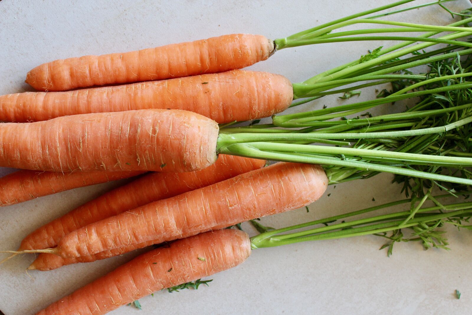 Canon EOS 1300D (EOS Rebel T6 / EOS Kiss X80) sample photo. Carrots, carrot, healthy photography