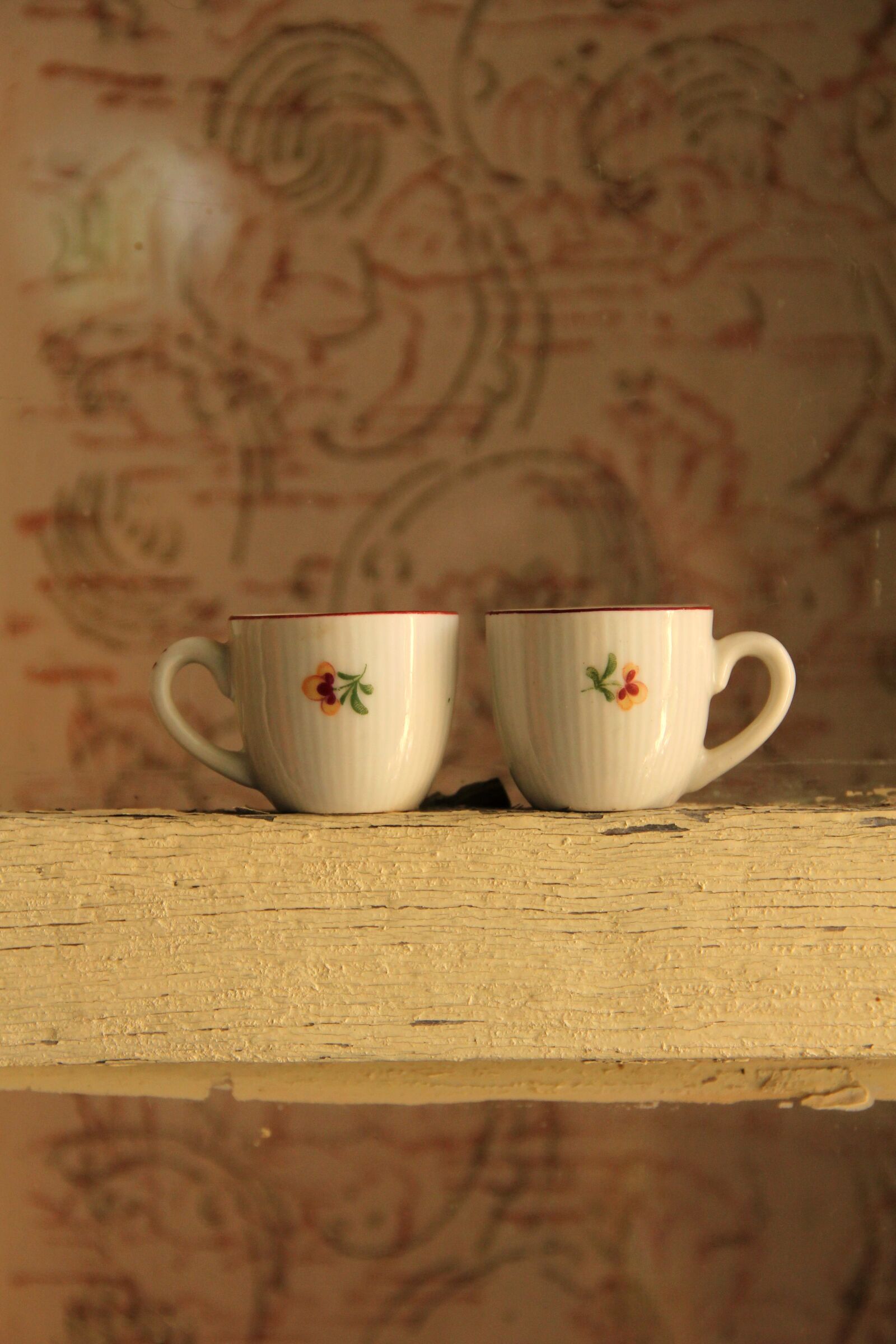 Canon EOS 550D (EOS Rebel T2i / EOS Kiss X4) sample photo. Cup, child, duck photography