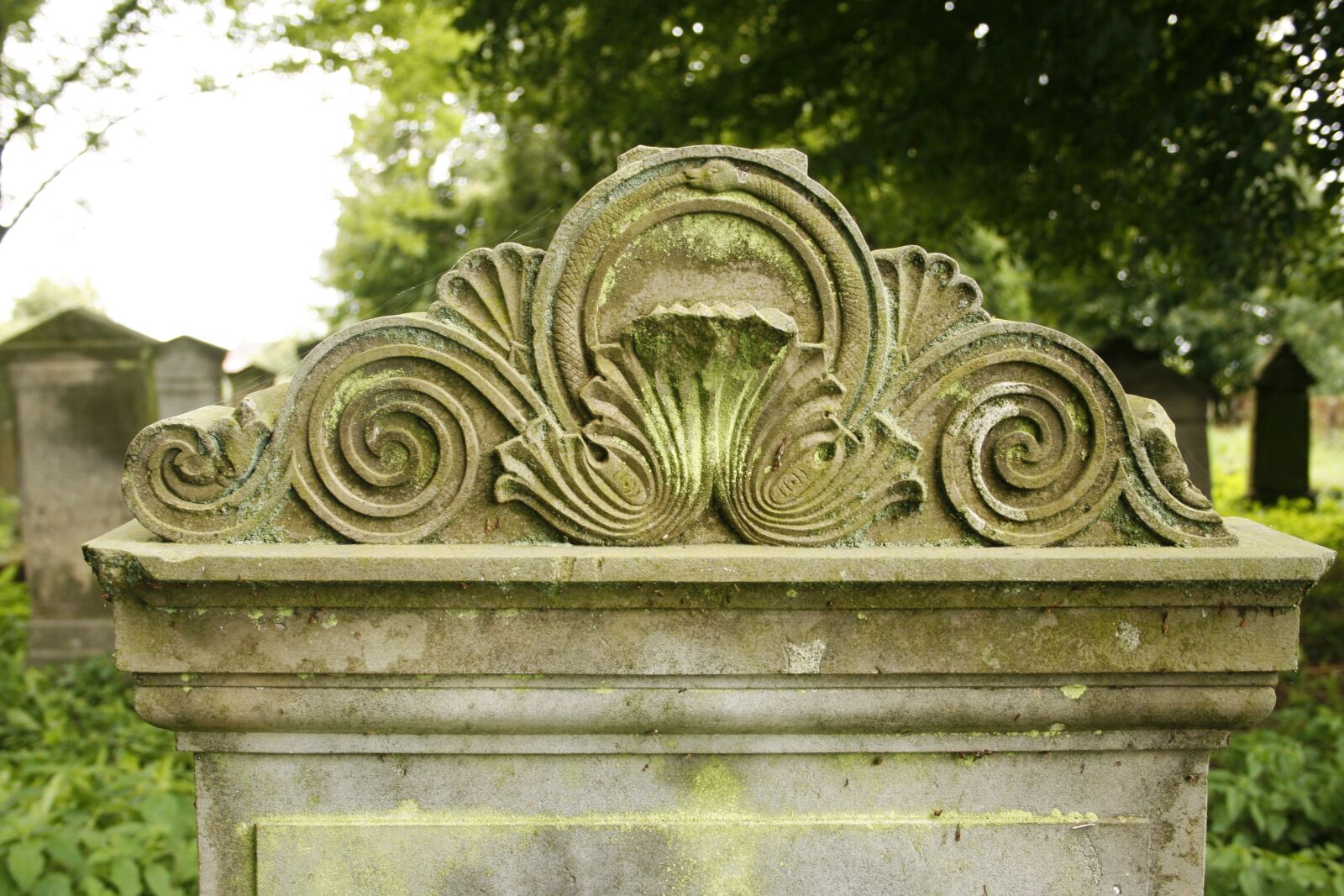 Canon EOS 400D (EOS Digital Rebel XTi / EOS Kiss Digital X) sample photo. Stone, architecture, garden photography