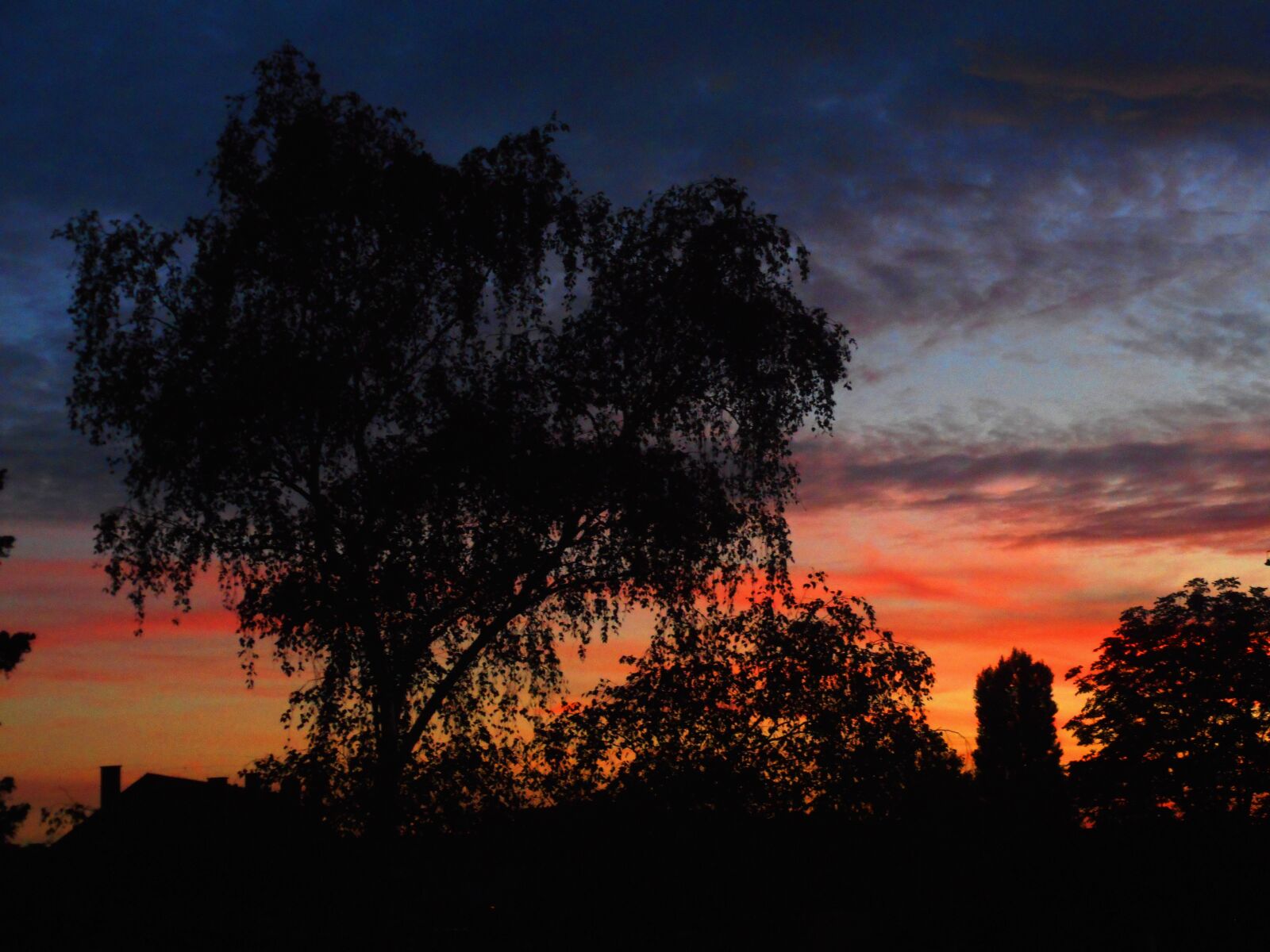 Nikon Coolpix S3600 sample photo. Sunset, tree, landscape photography