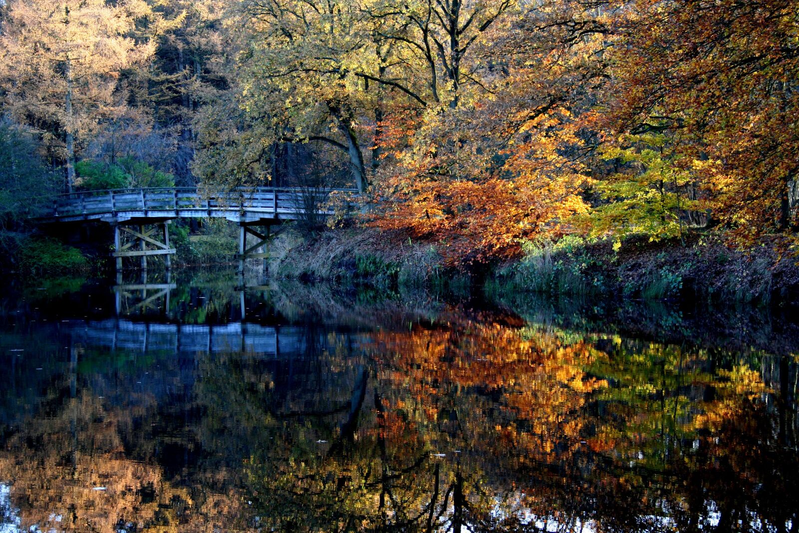 Canon EOS 350D (EOS Digital Rebel XT / EOS Kiss Digital N) sample photo. Autumn, nature, landscape photography