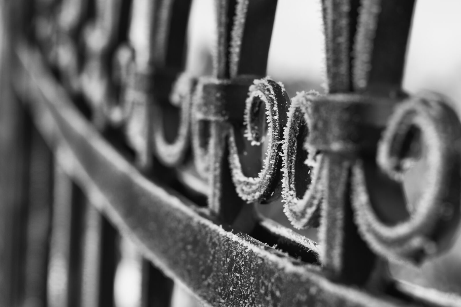 Canon EOS 100D (EOS Rebel SL1 / EOS Kiss X7) sample photo. Grid, fence, metal photography