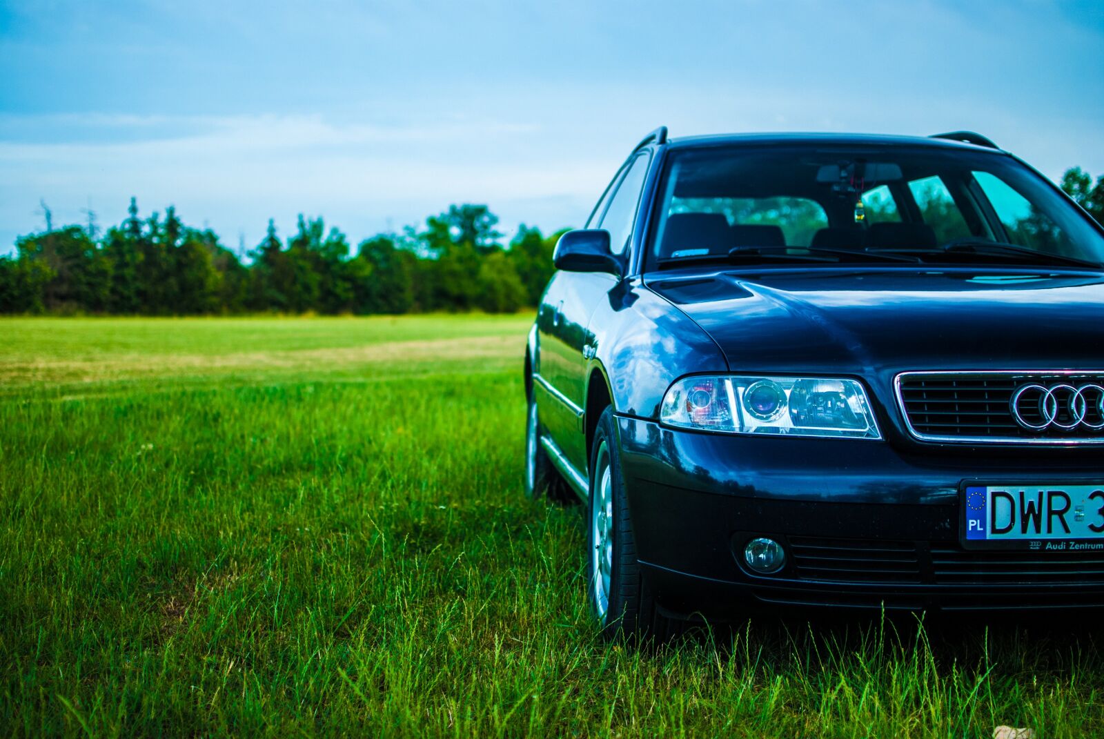 Nikon D60 sample photo. Audi, a4, meadow photography