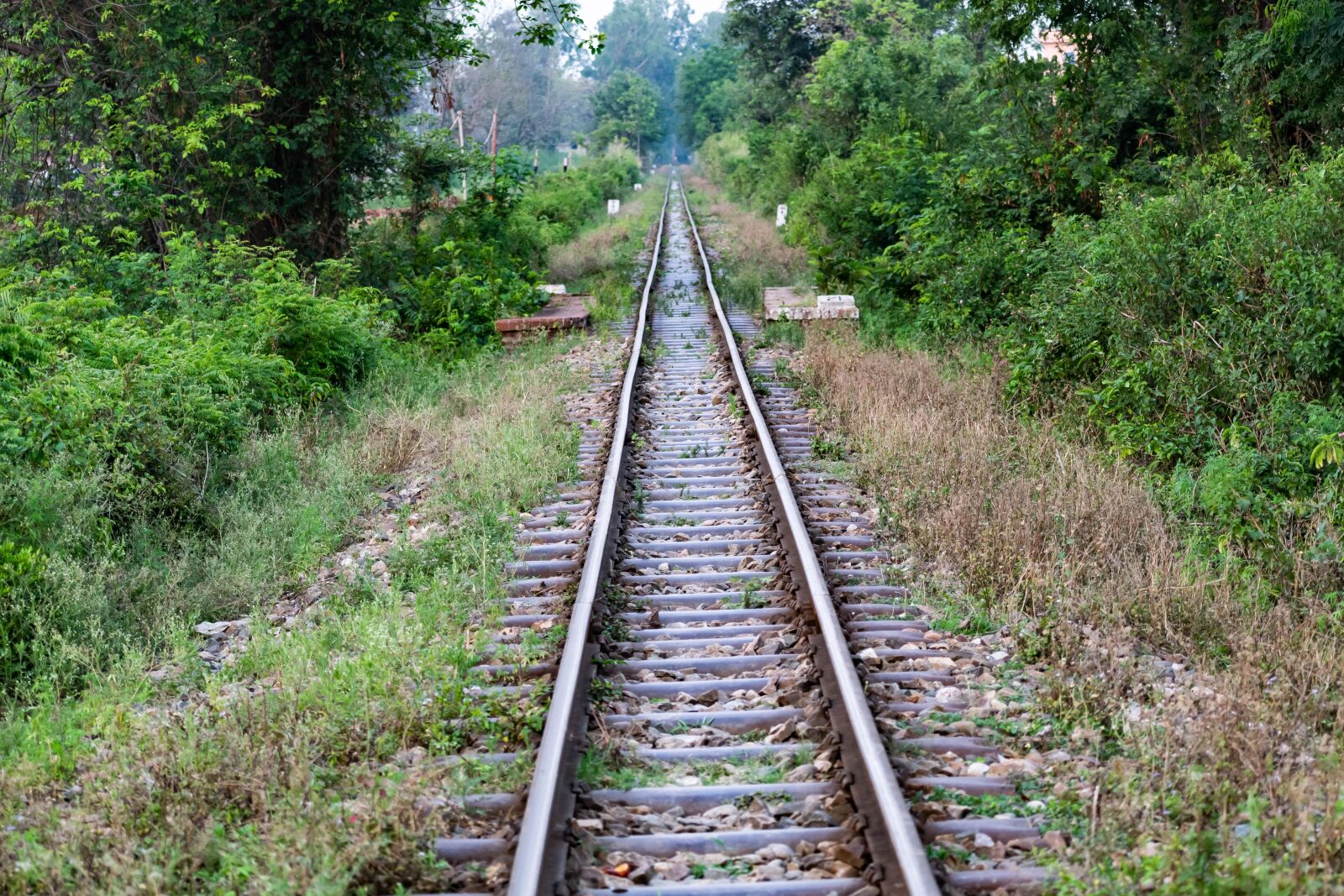 Nikon D3300 sample photo. Indian railways, rail track photography