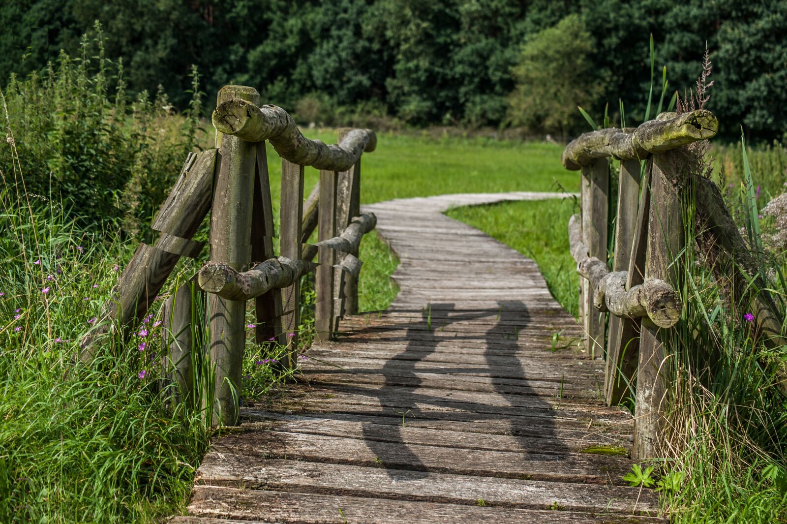 Nikon D700 sample photo. Bridge, wood, meadow photography