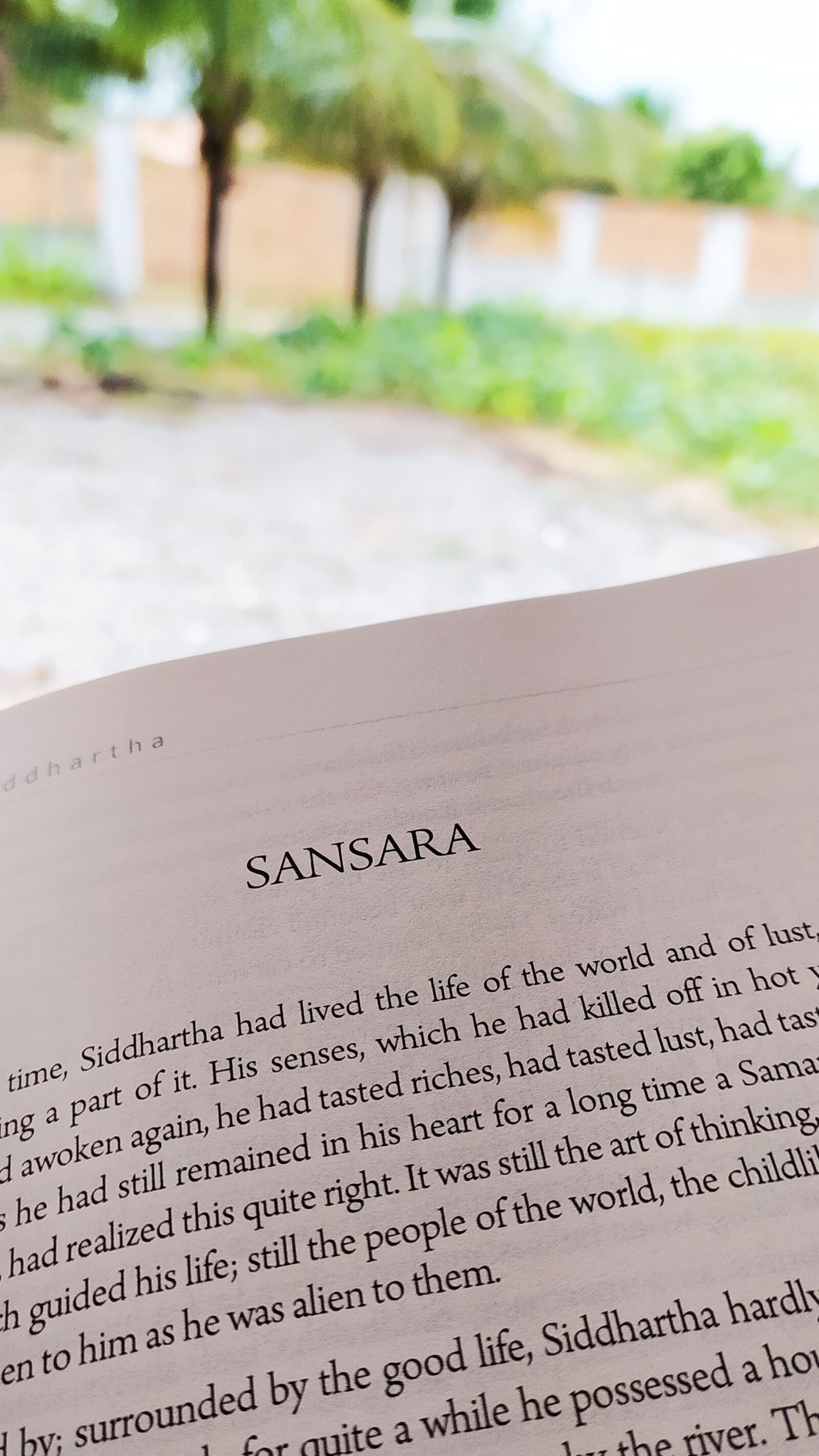 Xiaomi Redmi Note 8 sample photo. Book, reading, books photography