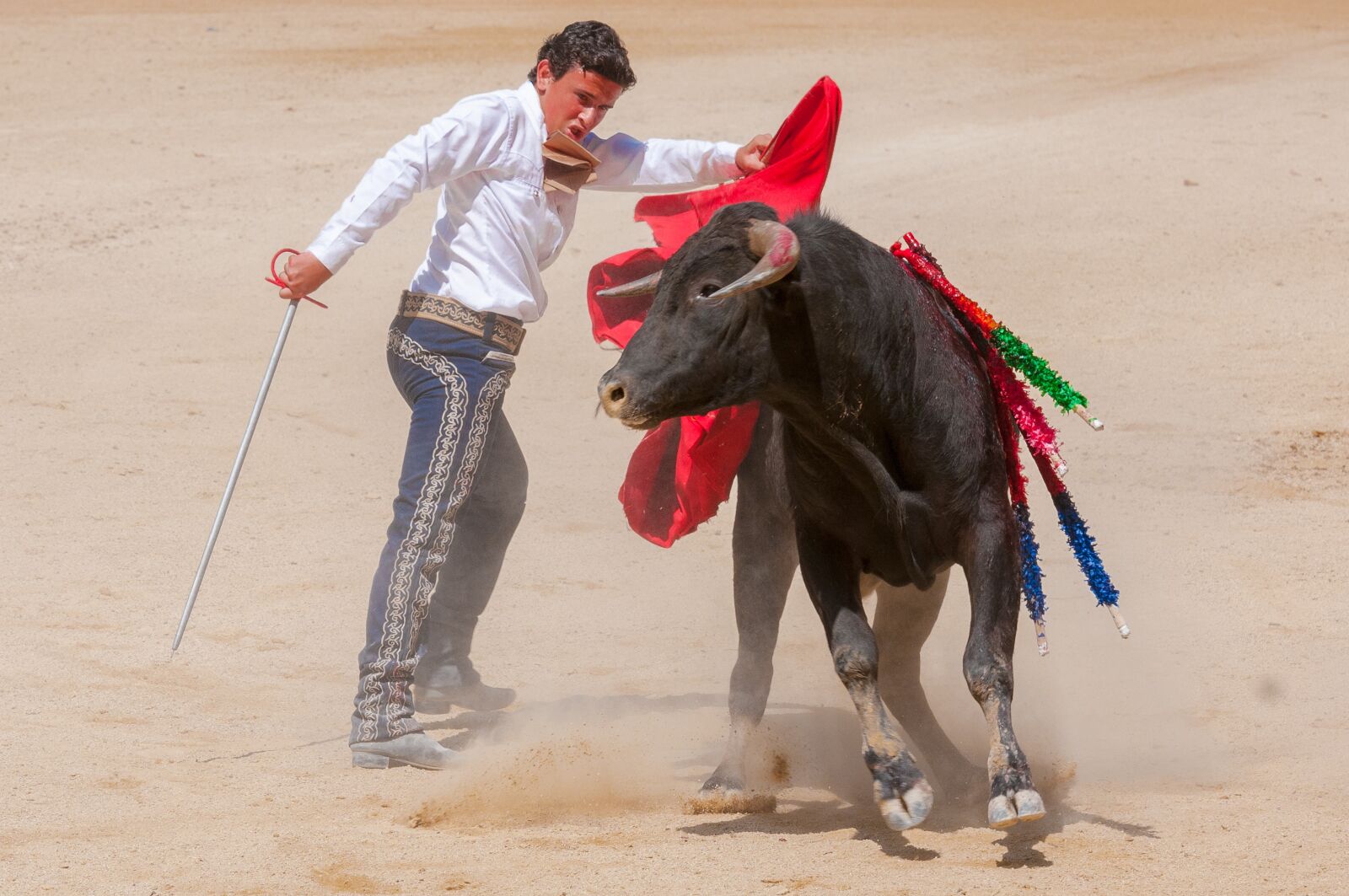 Nikon D300S sample photo. Bolsin, bullfight, bull photography
