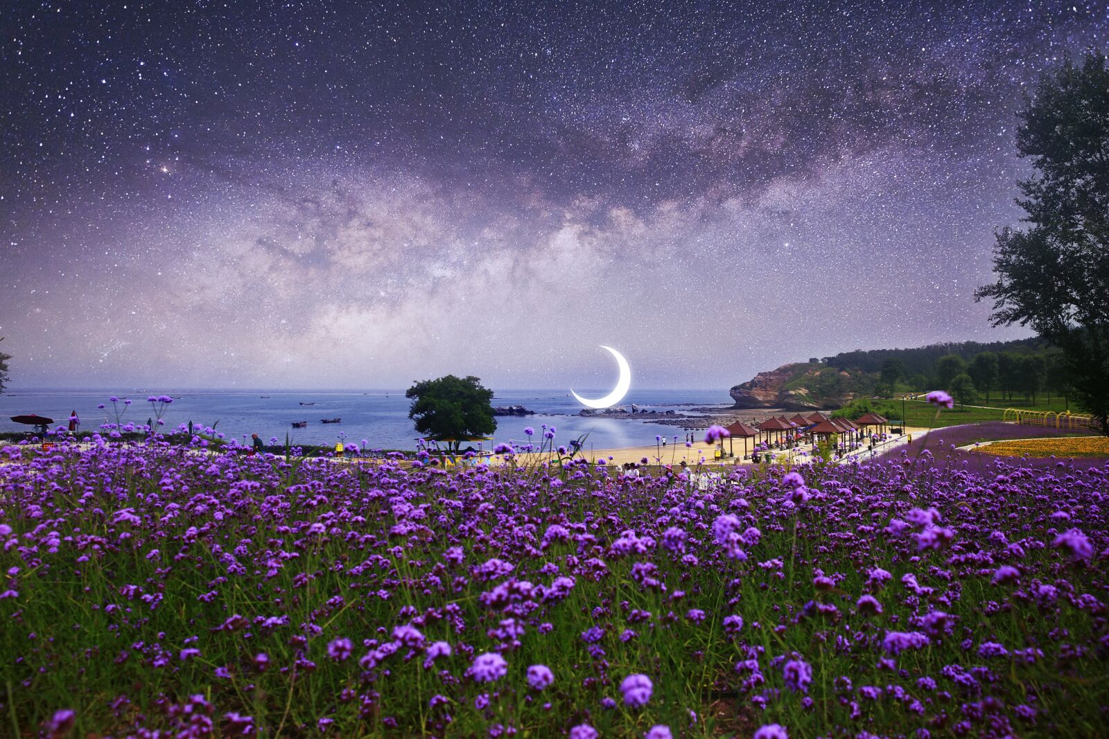 Canon EF 24-70mm F2.8L II USM sample photo. Dalian, delight island, romantic photography