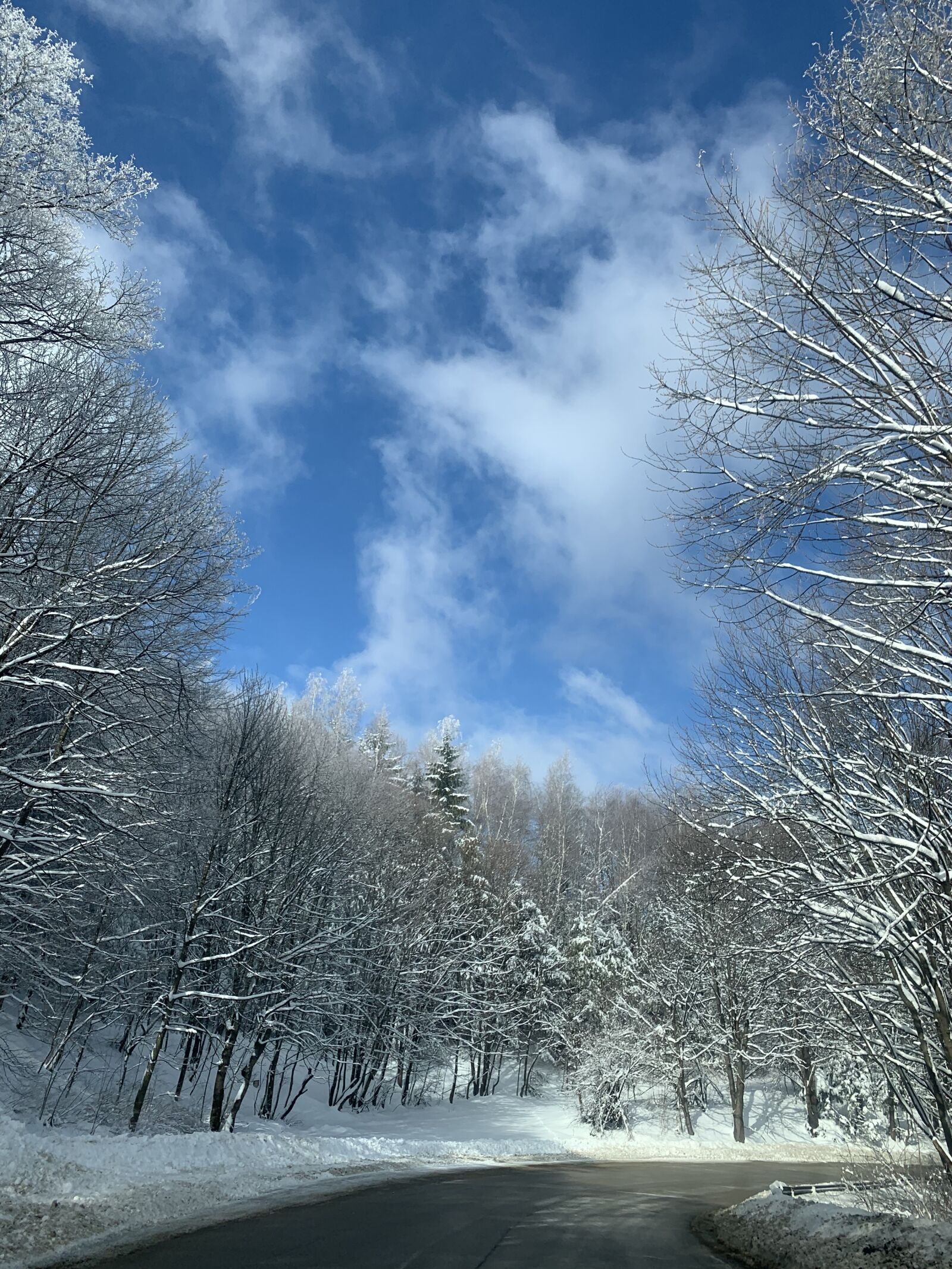 iPhone XS Max back dual camera 4.25mm f/1.8 sample photo. Winter road, sky, landscape photography