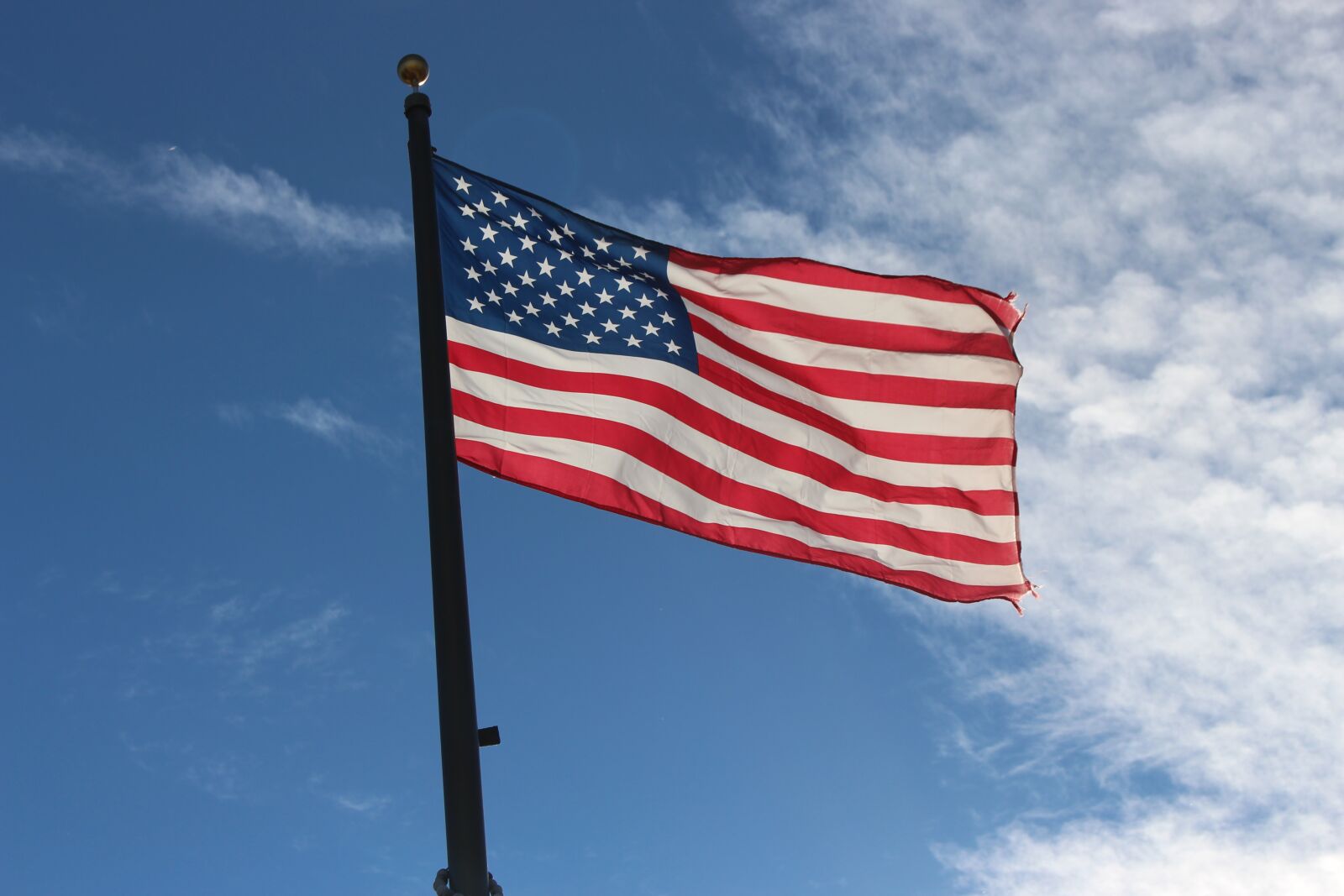 Canon EOS 700D (EOS Rebel T5i / EOS Kiss X7i) sample photo. America, team, flag photography