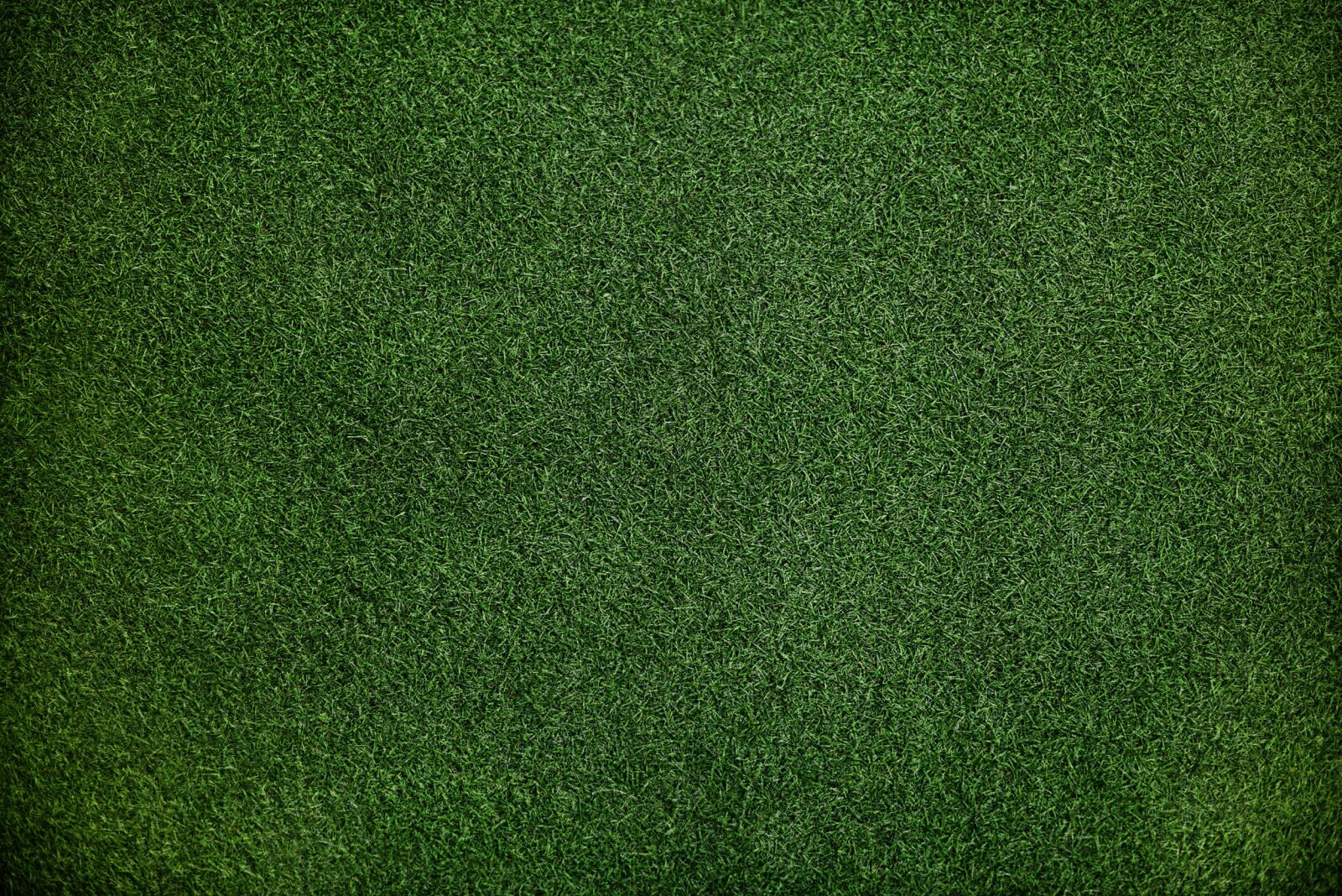 Nikon D810 sample photo. Grass, green, fabric photography