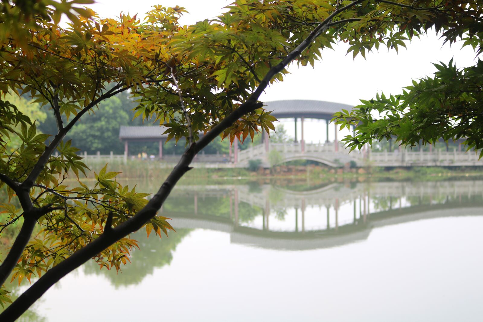 Canon EOS 750D (EOS Rebel T6i / EOS Kiss X8i) sample photo. The scenery, bridge, lake photography