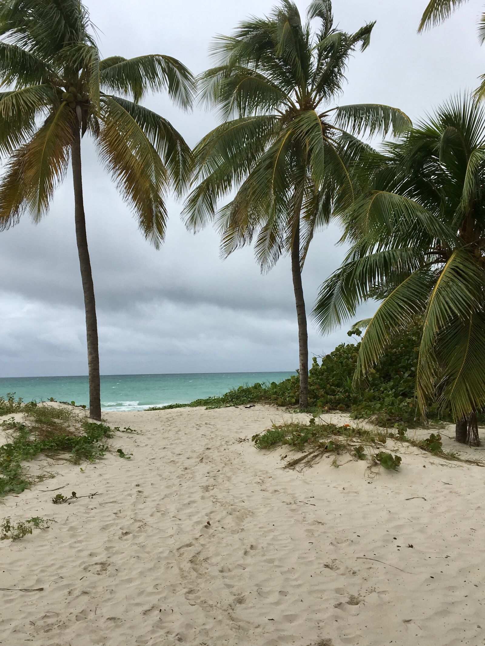 Apple iPhone 6s sample photo. Cuba, beach, vacations photography