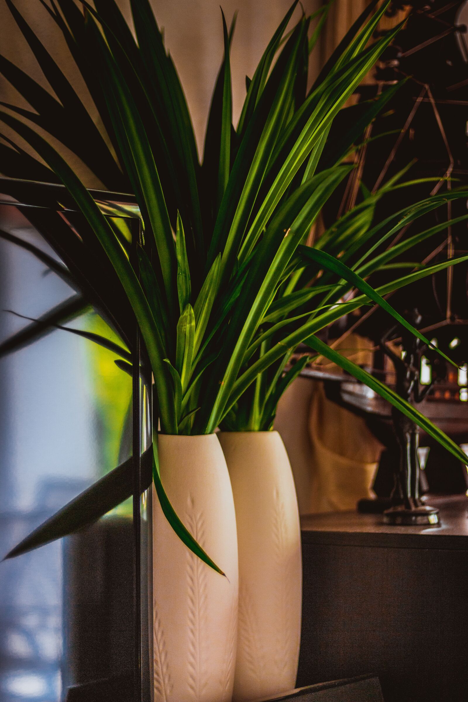 Canon EOS 700D (EOS Rebel T5i / EOS Kiss X7i) + Canon EF 50mm F1.8 STM sample photo. Blade, vase, green photography