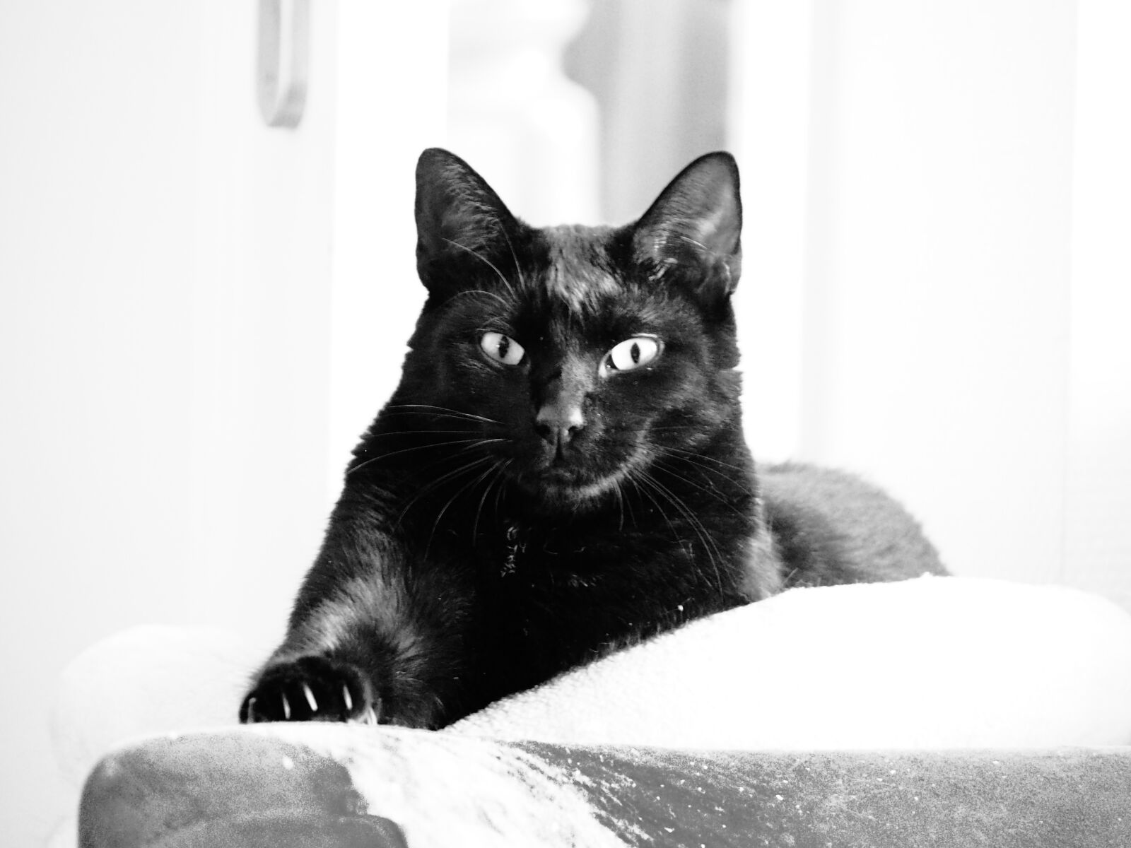Olympus OM-D E-M10 III sample photo