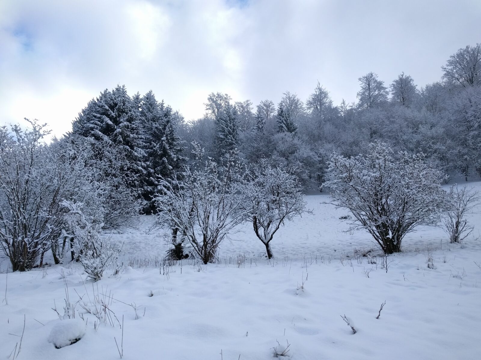 LG Nexus 5X sample photo. Winter, landscape, nature photography