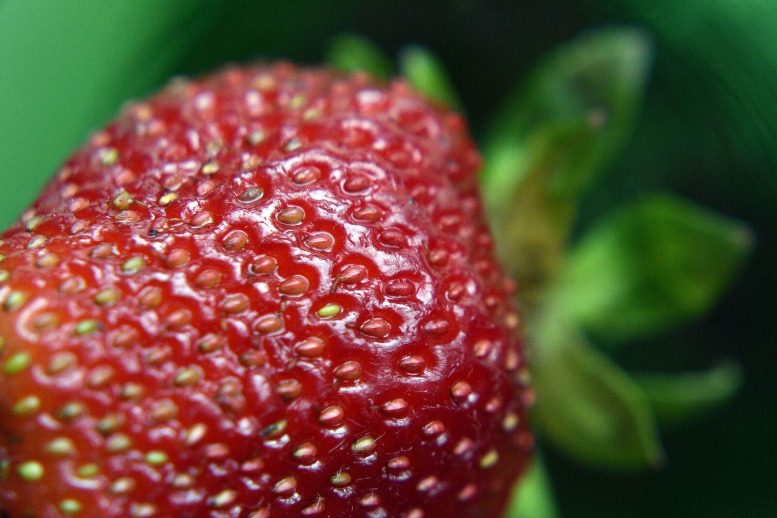 Nikon D3400 sample photo. Strawberry, strawberries, season photography