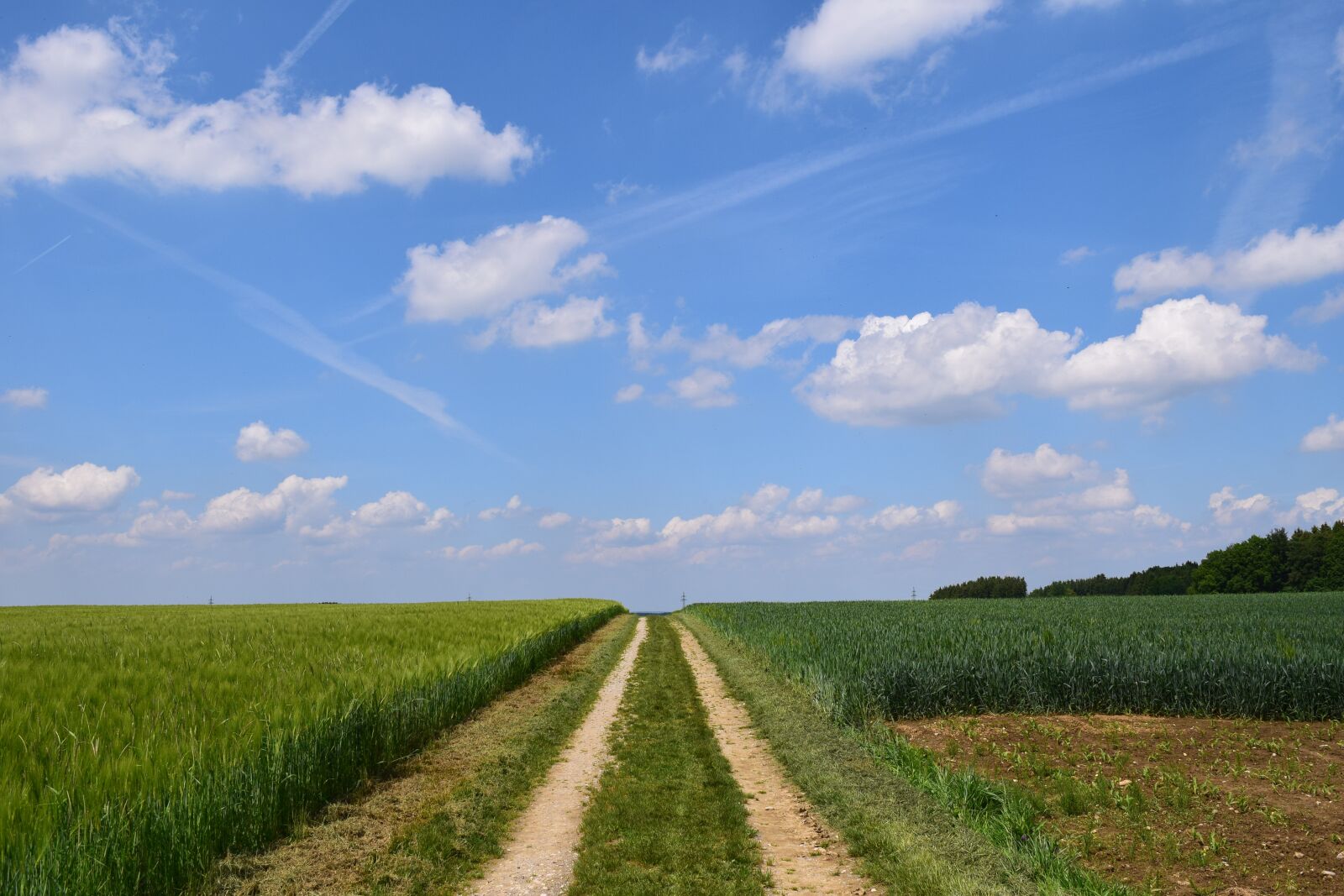Nikon D3300 sample photo. Lane, agriculture, field photography