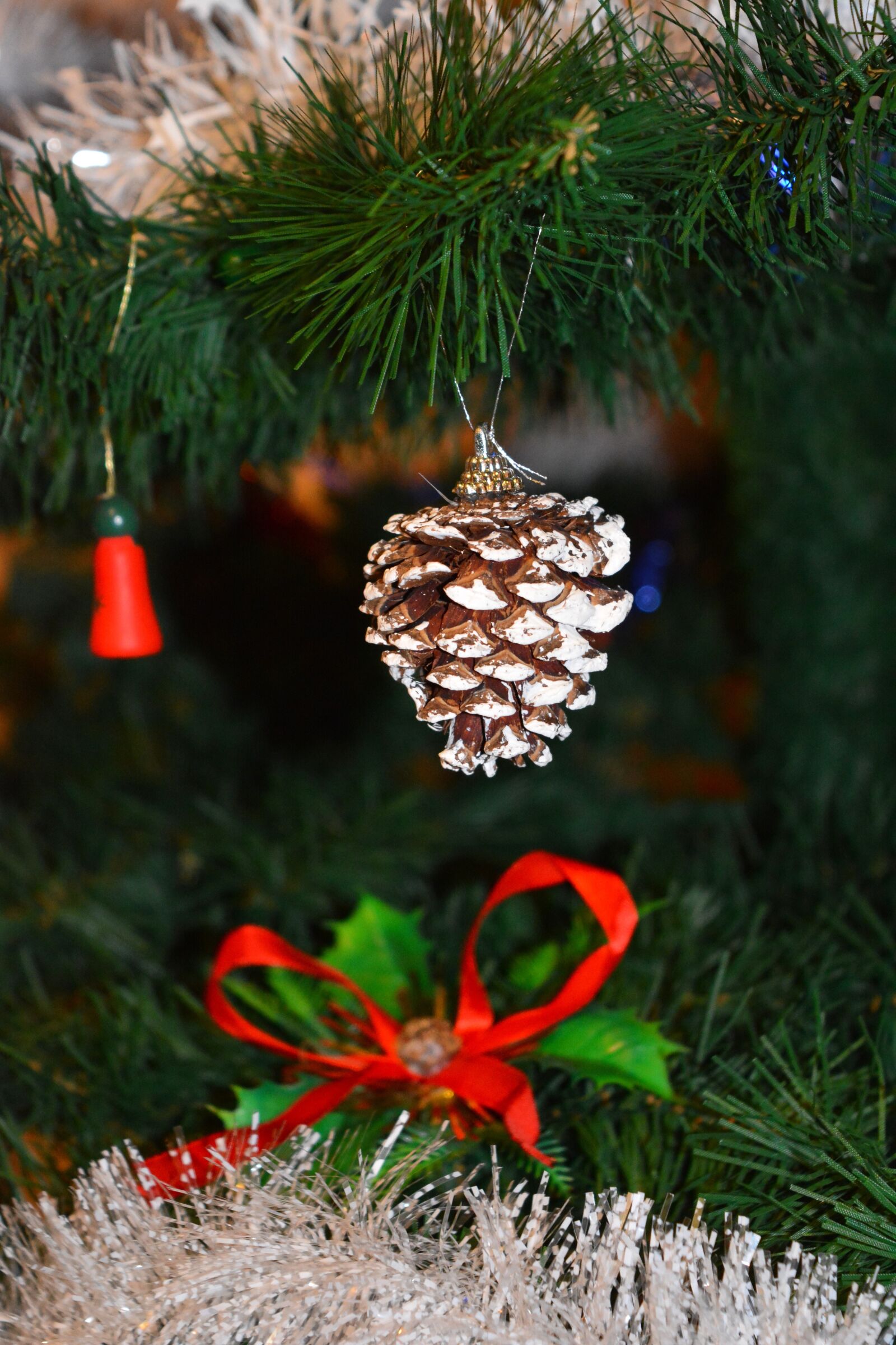 Nikon D5200 sample photo. Christmas, brad, pom photography