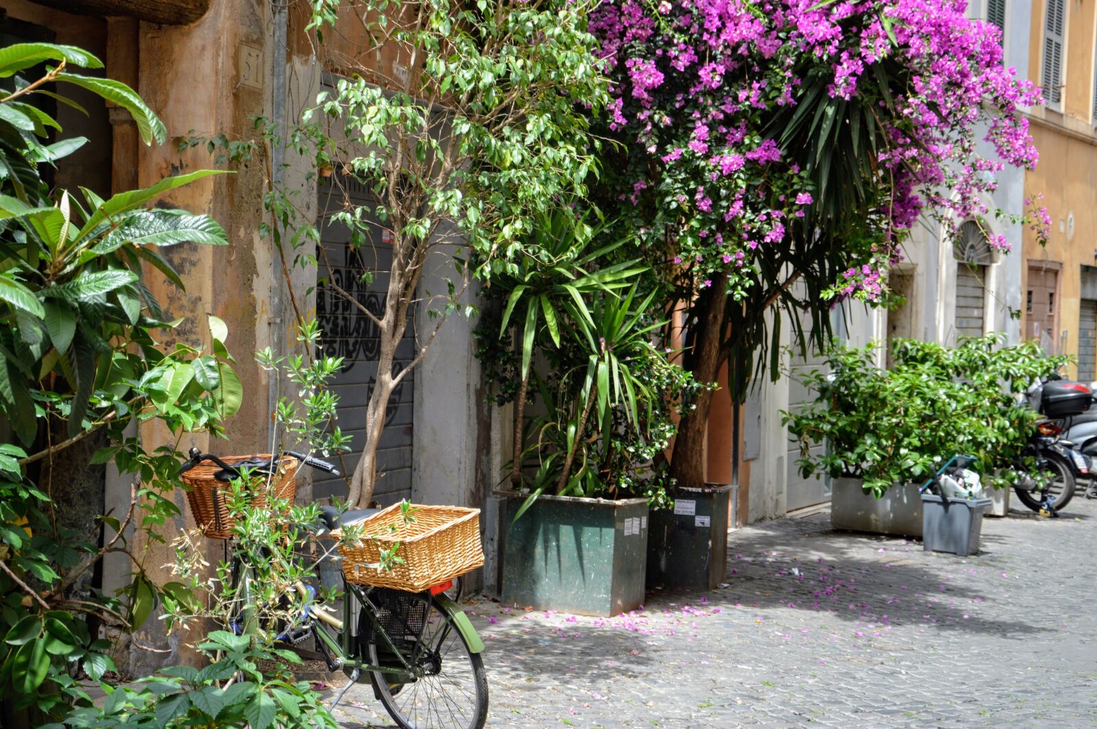 Nikon D3200 sample photo. Rome, italy, architecture photography