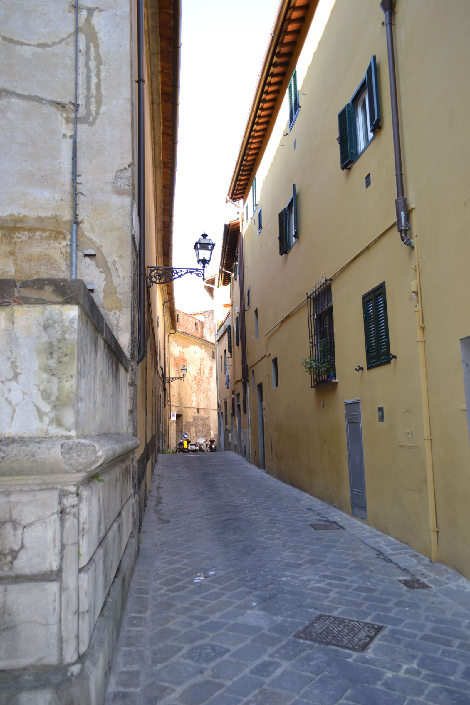 Nikon D3100 sample photo. Florence5 photography