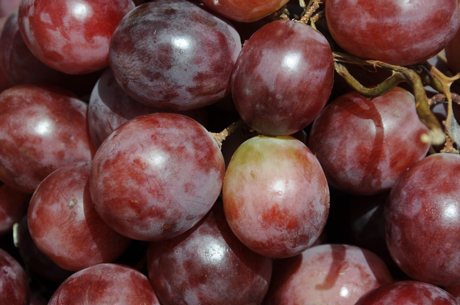 Nikon D5000 sample photo. Health, fruit, grapes photography