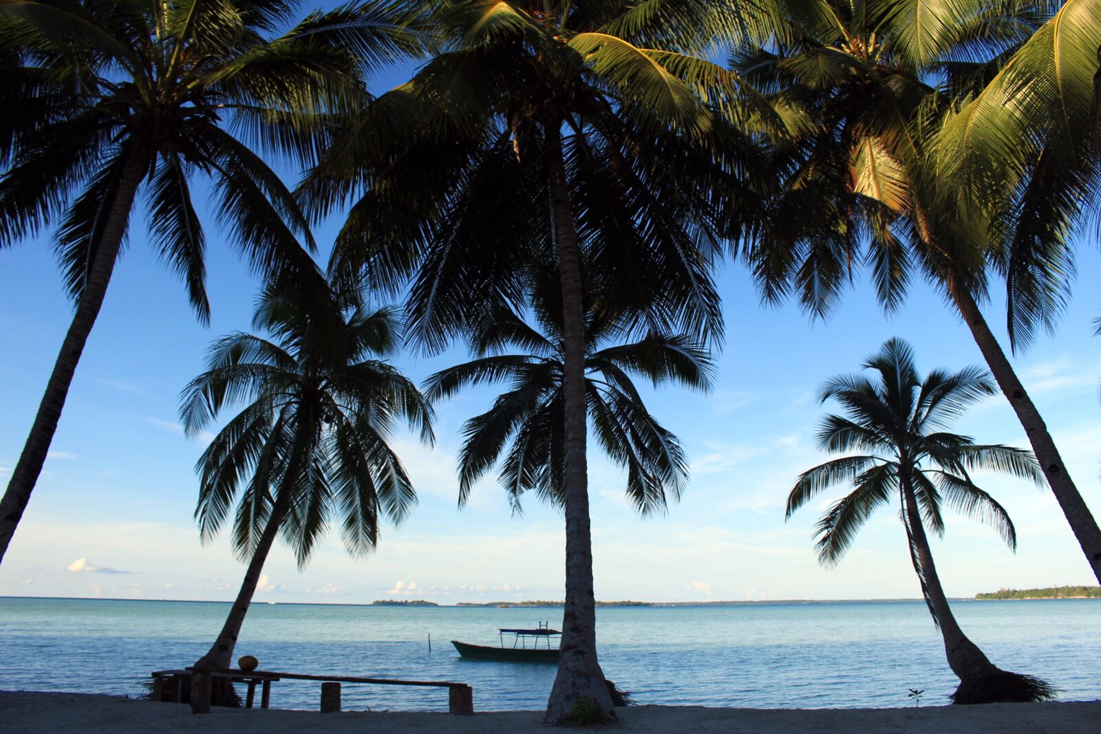 Canon EOS 700D (EOS Rebel T5i / EOS Kiss X7i) sample photo. Beach, coconut trees, kei photography