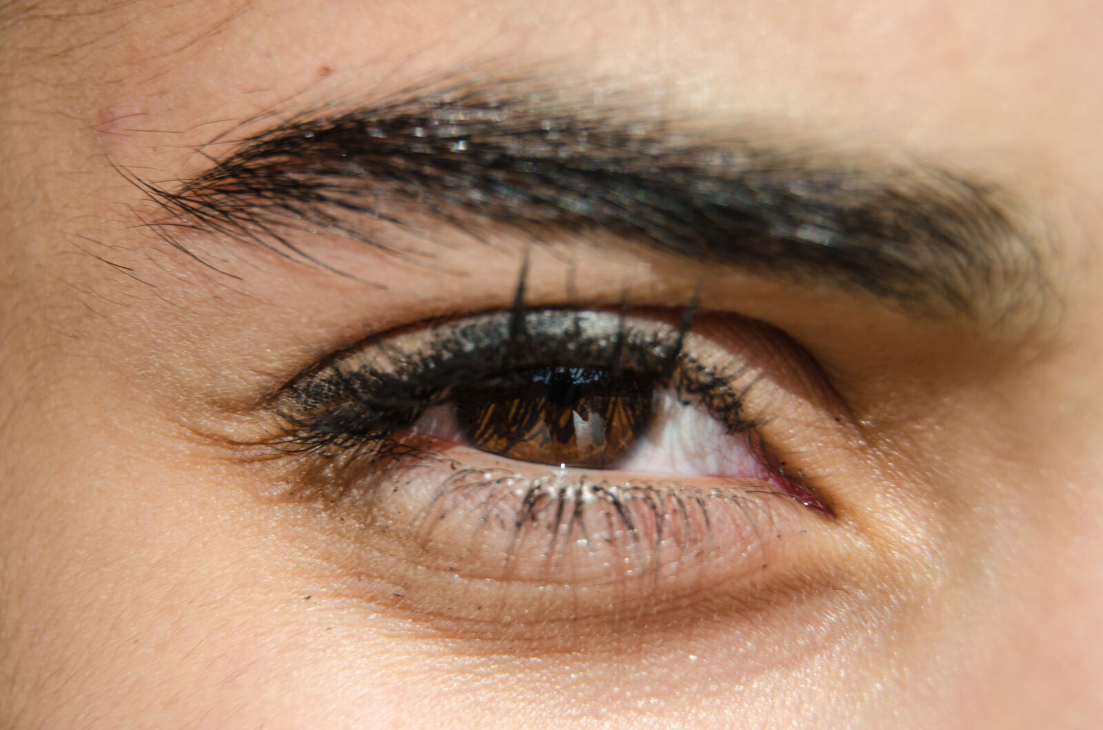 Nikon D5100 sample photo