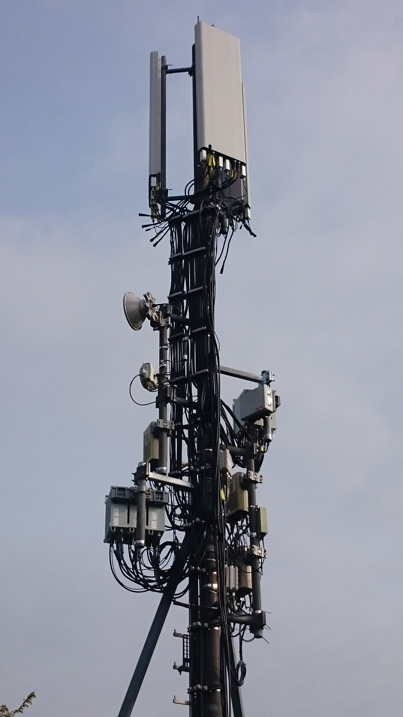 Sony Xperia Z1 Compact sample photo. Antennas, antenna, radio photography