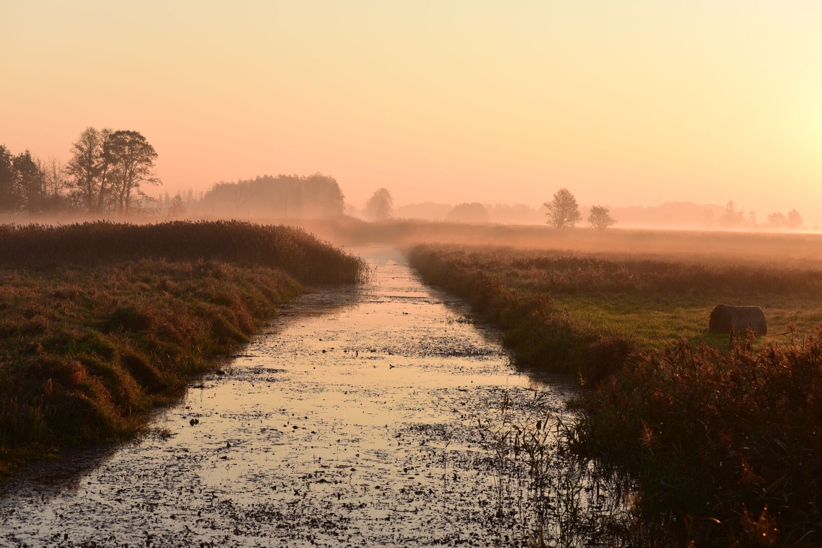 Nikon D750 sample photo. Sunrise, dawn, the kampinos photography