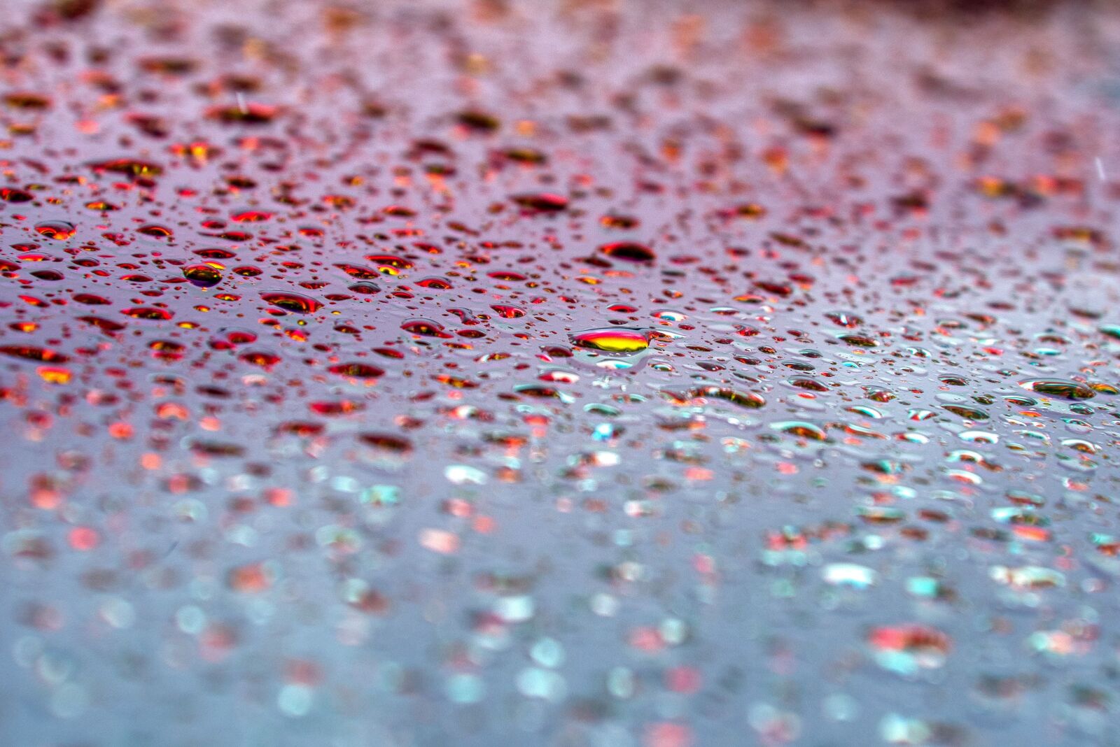 Nikon D750 sample photo. Windshield, drop of water photography