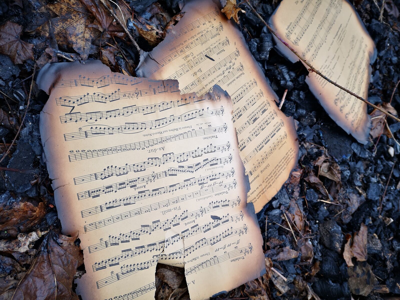 HUAWEI CLT-L29 sample photo. Music, old, retro photography