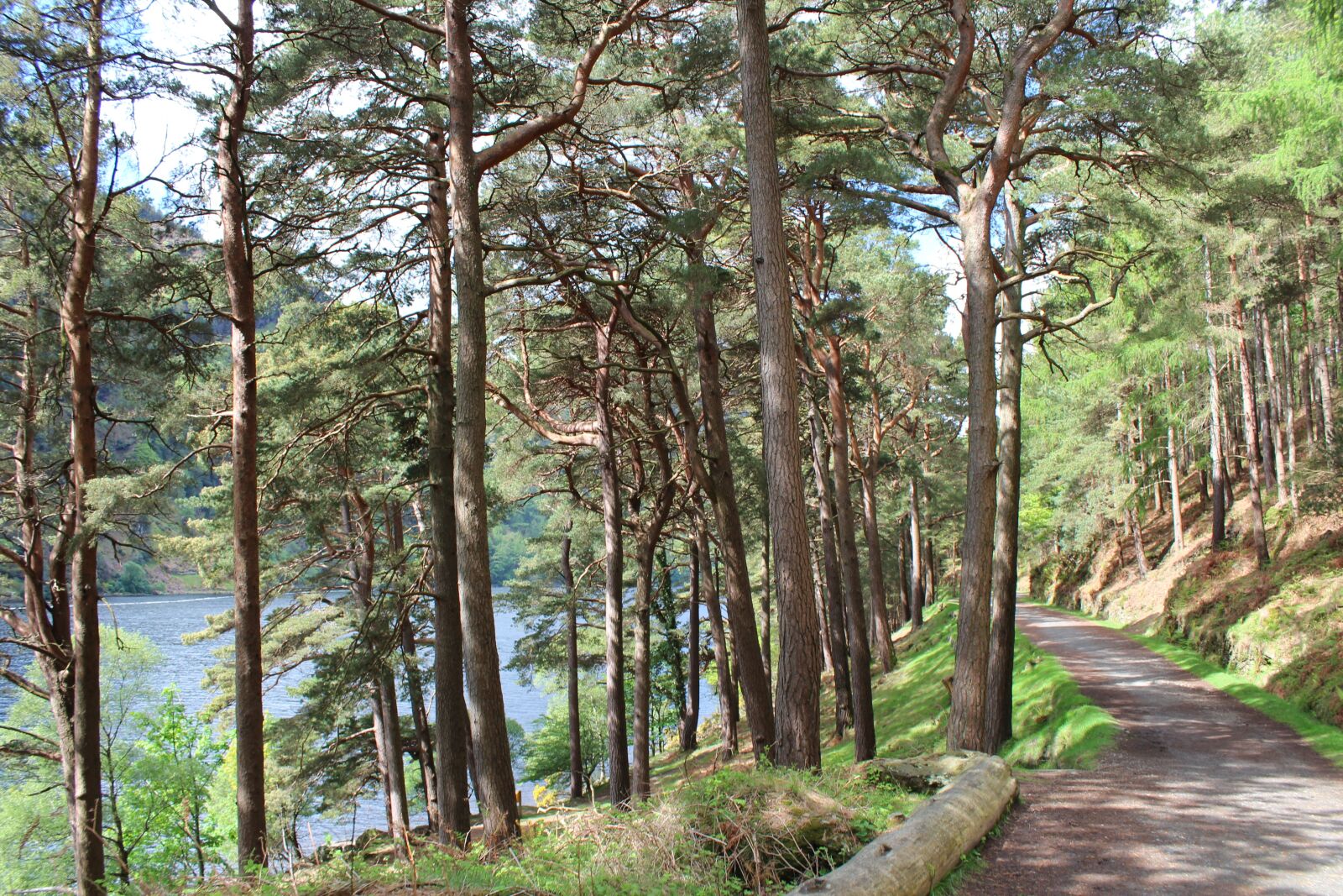 Canon EOS 600D (Rebel EOS T3i / EOS Kiss X5) sample photo. Scenery, ireland, glendalough photography