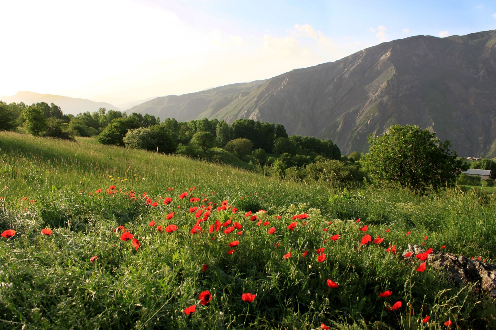 Canon EOS 500D (EOS Rebel T1i / EOS Kiss X3) sample photo. Nature, landscape, mountain photography