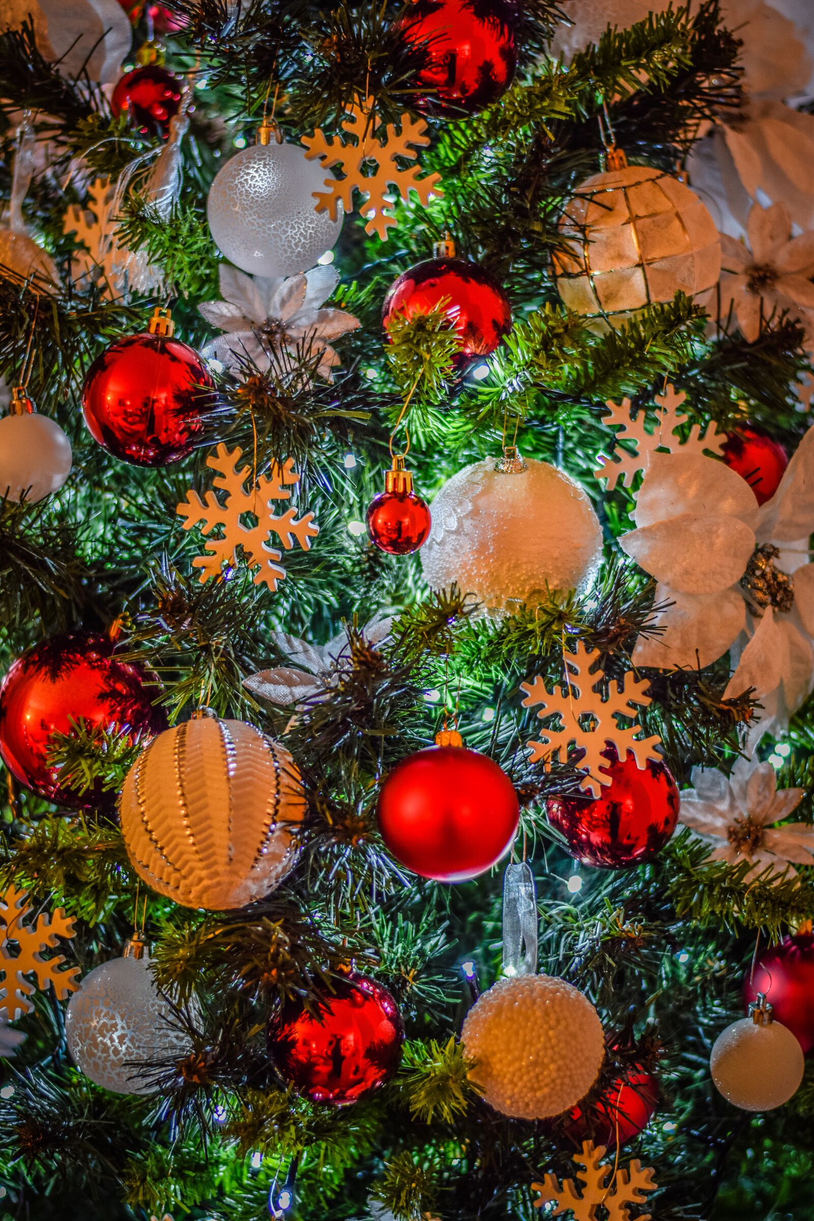 Nikon D5300 sample photo. Christmas, tree, decorative photography