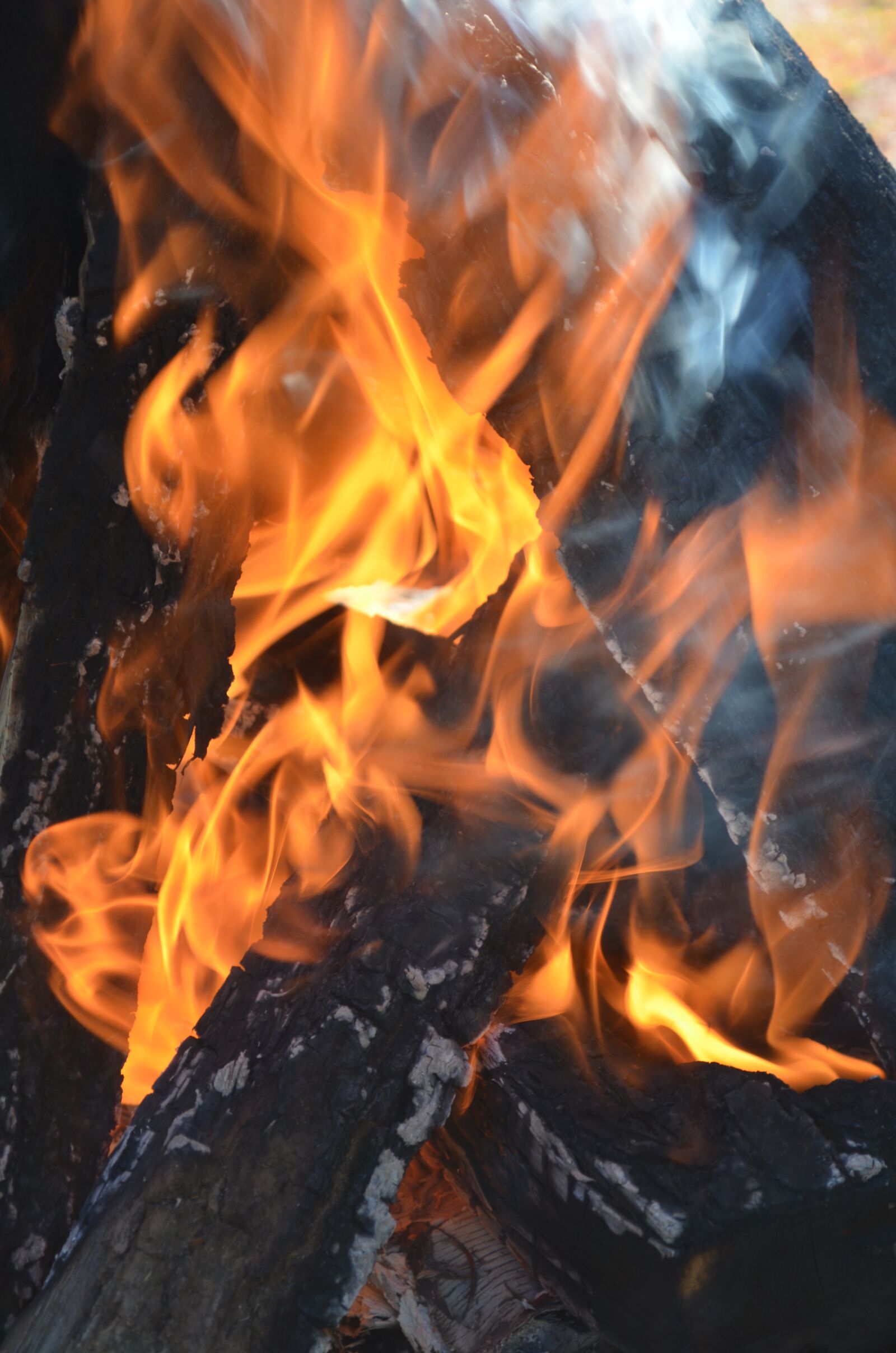 Nikon D5100 sample photo. Fire, an outbreak of photography