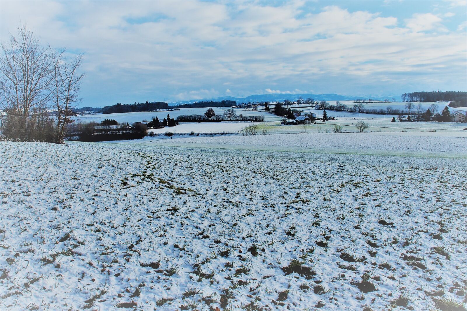 Olympus PEN E-PL3 sample photo. Winter, snow, nature photography