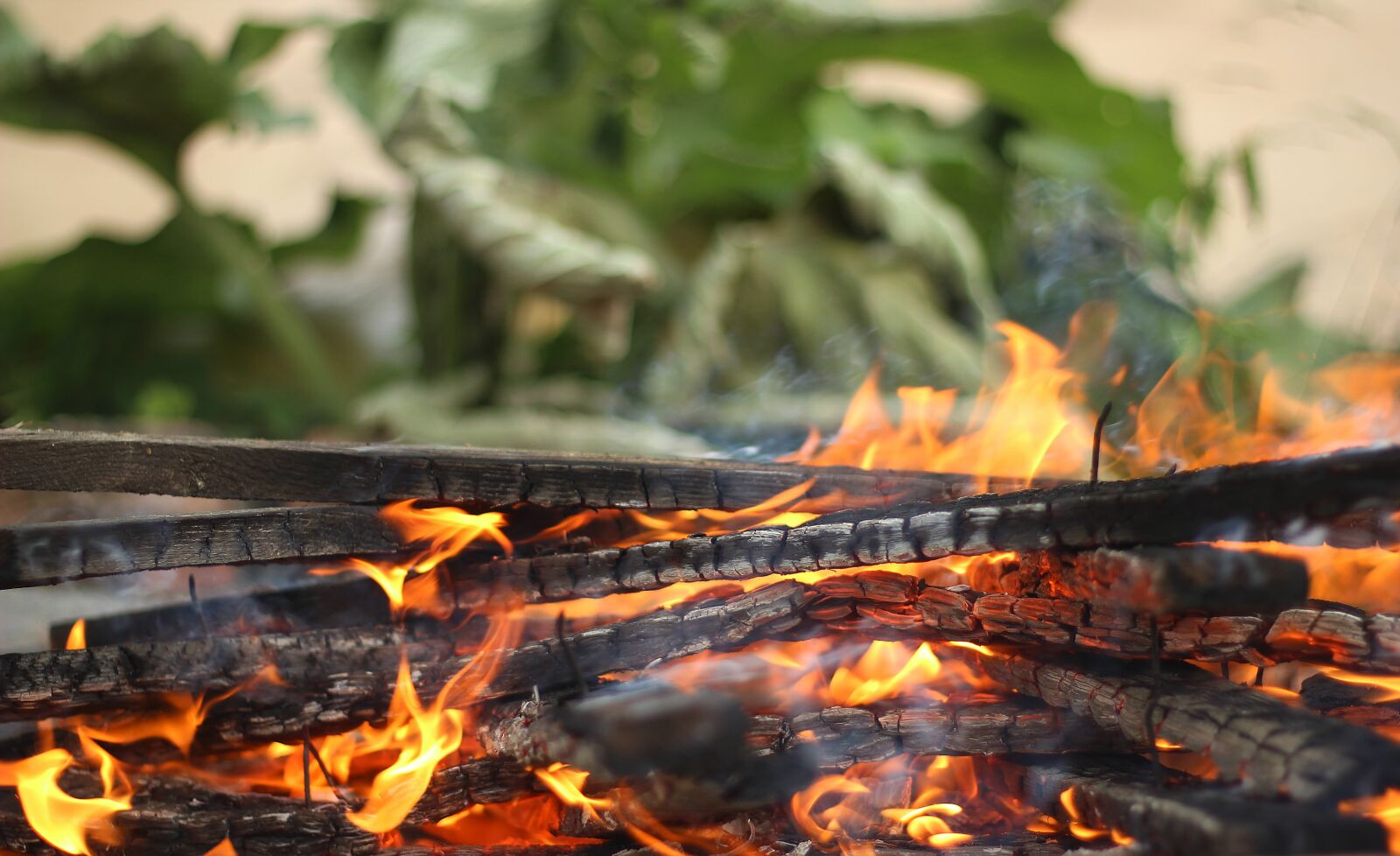 Canon EOS 600D (Rebel EOS T3i / EOS Kiss X5) + Canon EF 50mm F1.8 II sample photo. Fire, background, flame photography