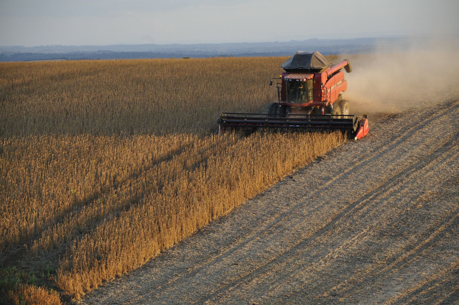Nikon D5000 sample photo. Soybeans, harvester, harvest photography