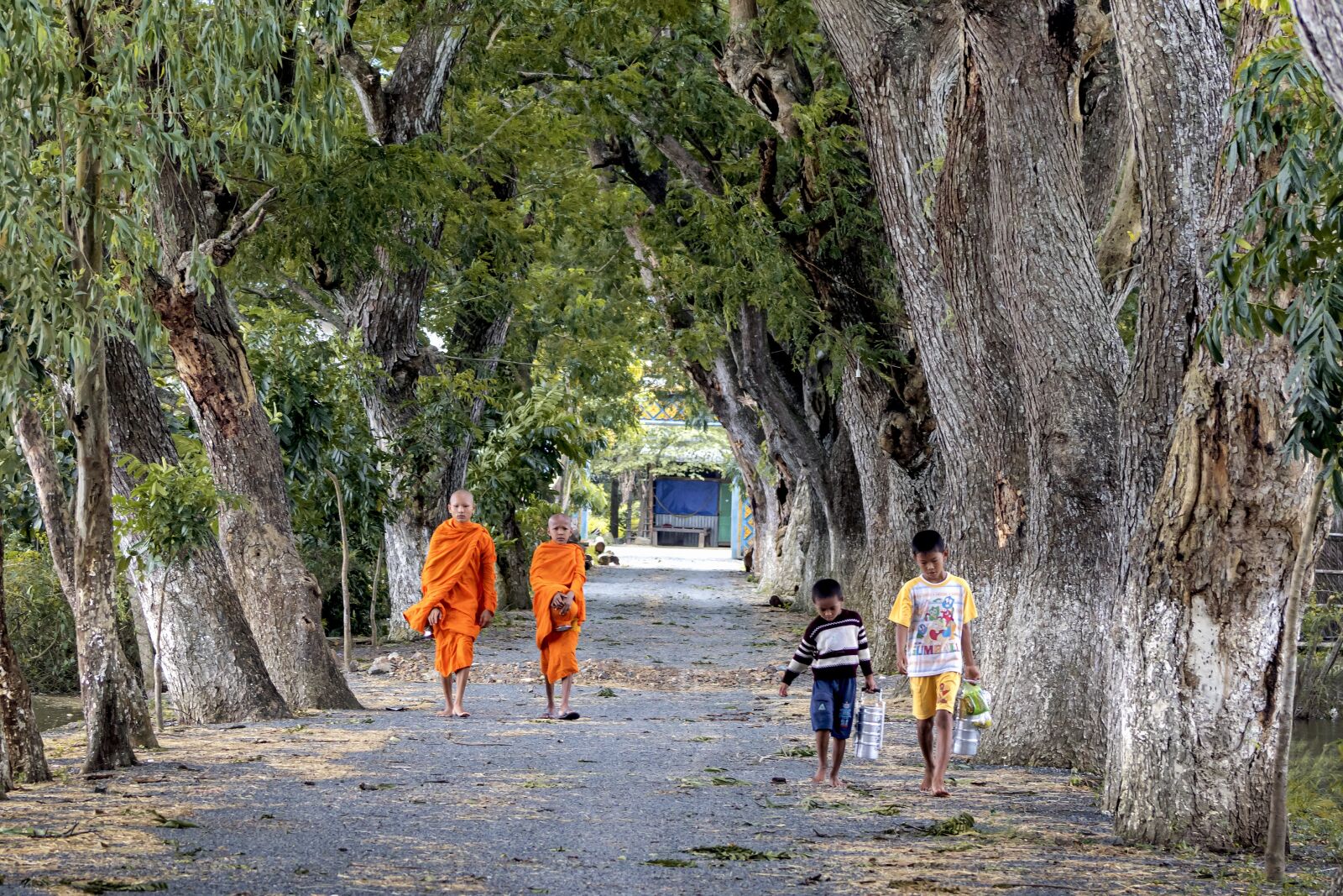 Canon EF75-300mm f/4-5.6 sample photo. Monk, young, tree photography