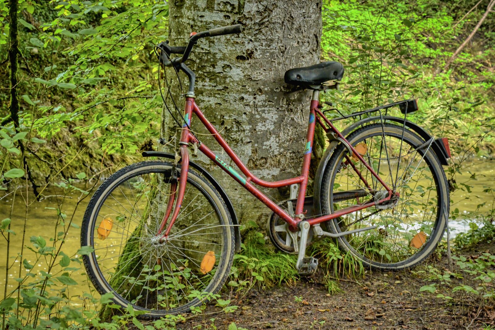 Nikon D7100 sample photo. Bike, bicycle, tree photography