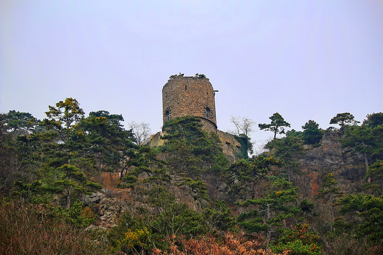Canon EOS 100D (EOS Rebel SL1 / EOS Kiss X7) + Canon EF-S 55-250mm F4-5.6 IS sample photo. Castle, black tower, fortress photography