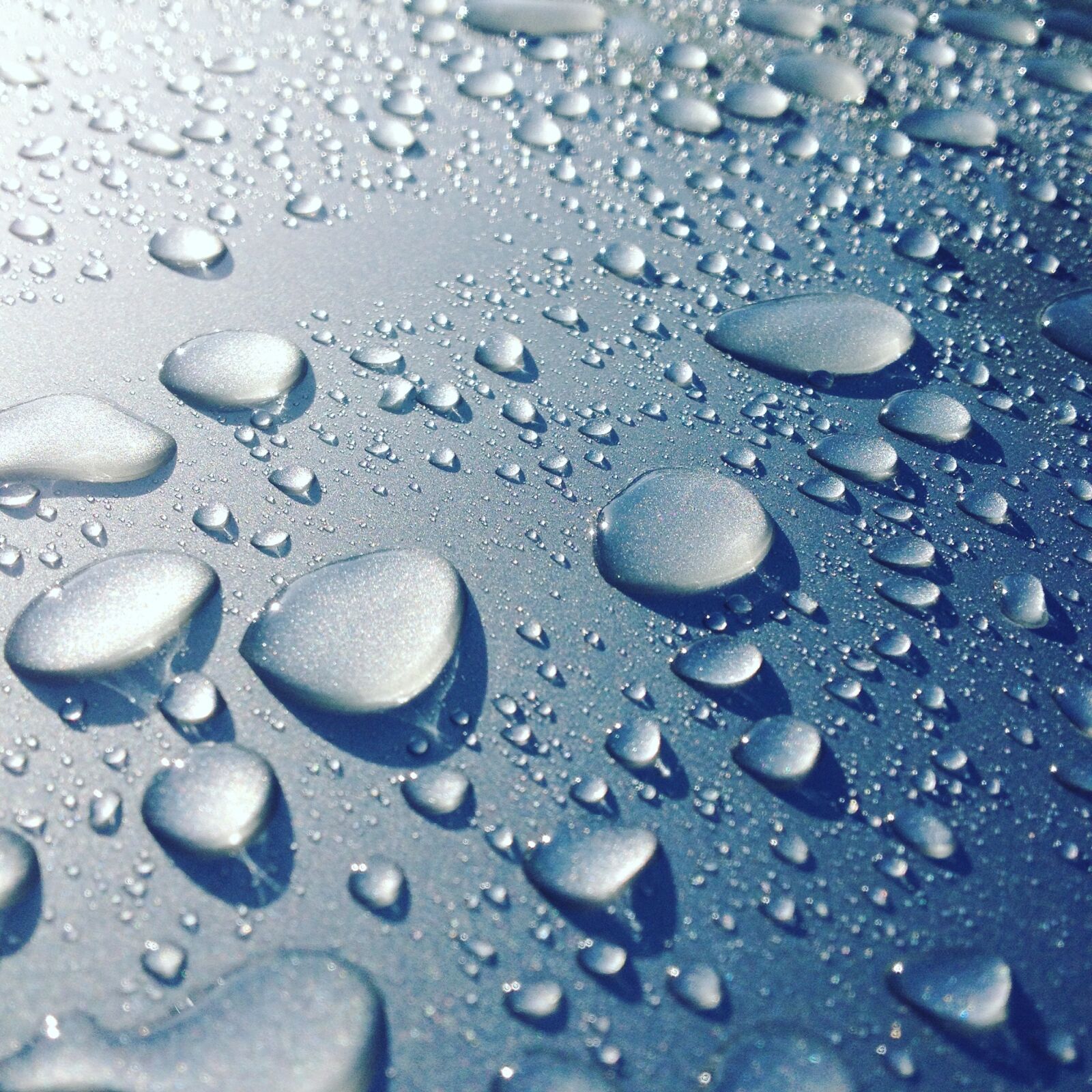 iPhone 4S back camera 4.28mm f/2.4 sample photo. Water, dew, rain, raindrops photography