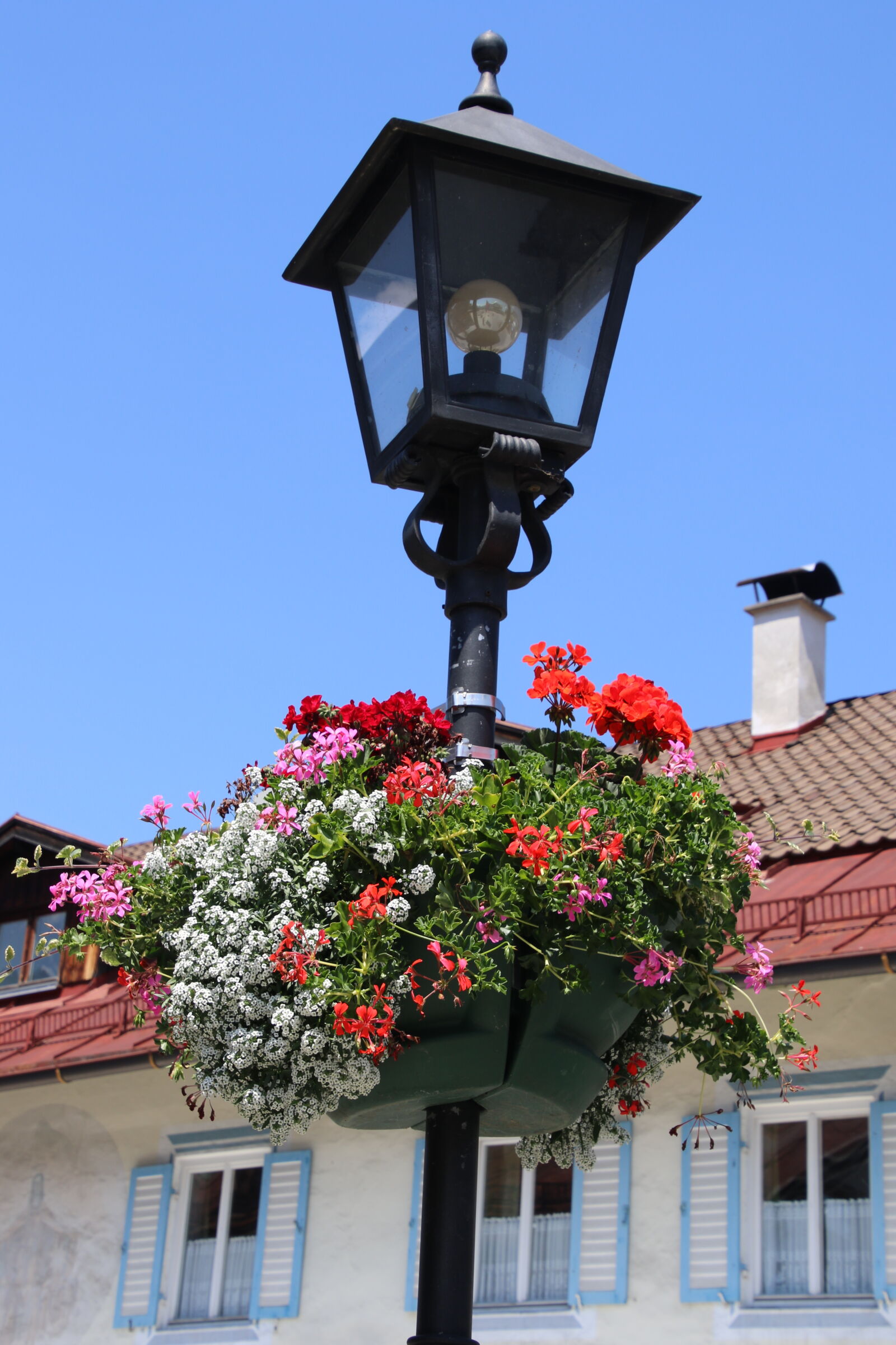 Canon EOS 7D Mark II sample photo. Flowers, garden, ligth, red photography