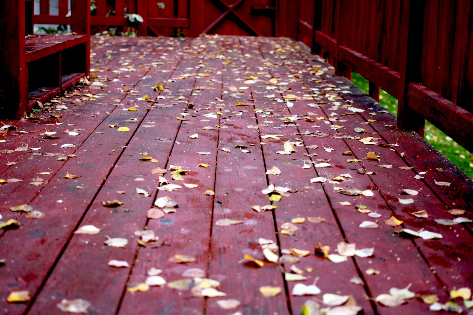 Canon EOS 7D sample photo. Fall, deck, wood photography