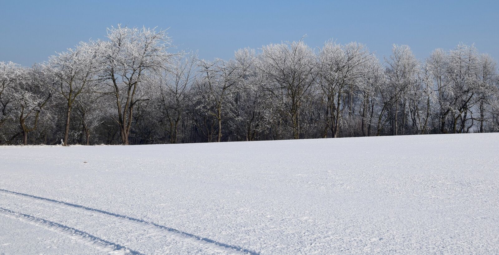 Nikon D3300 sample photo. Wintry, iced, winter mood photography
