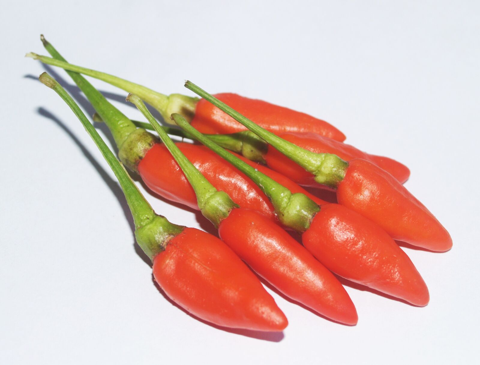 Olympus E-300 (EVOLT E-300) sample photo. Cayenne, chilli, close, up photography
