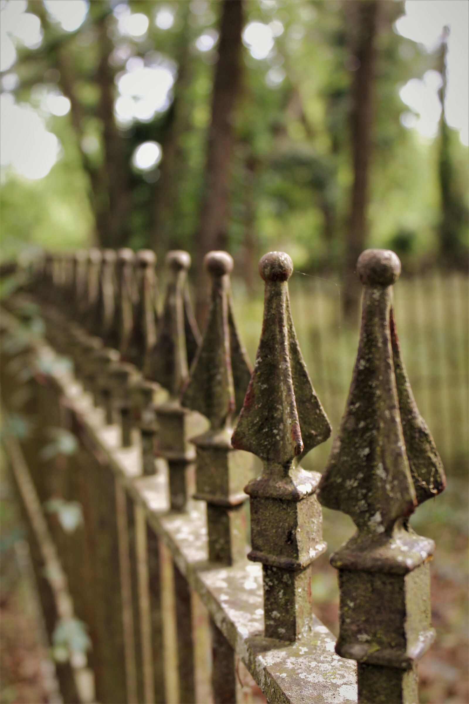 Canon EOS 1300D (EOS Rebel T6 / EOS Kiss X80) sample photo. Iron, fence, ornate photography