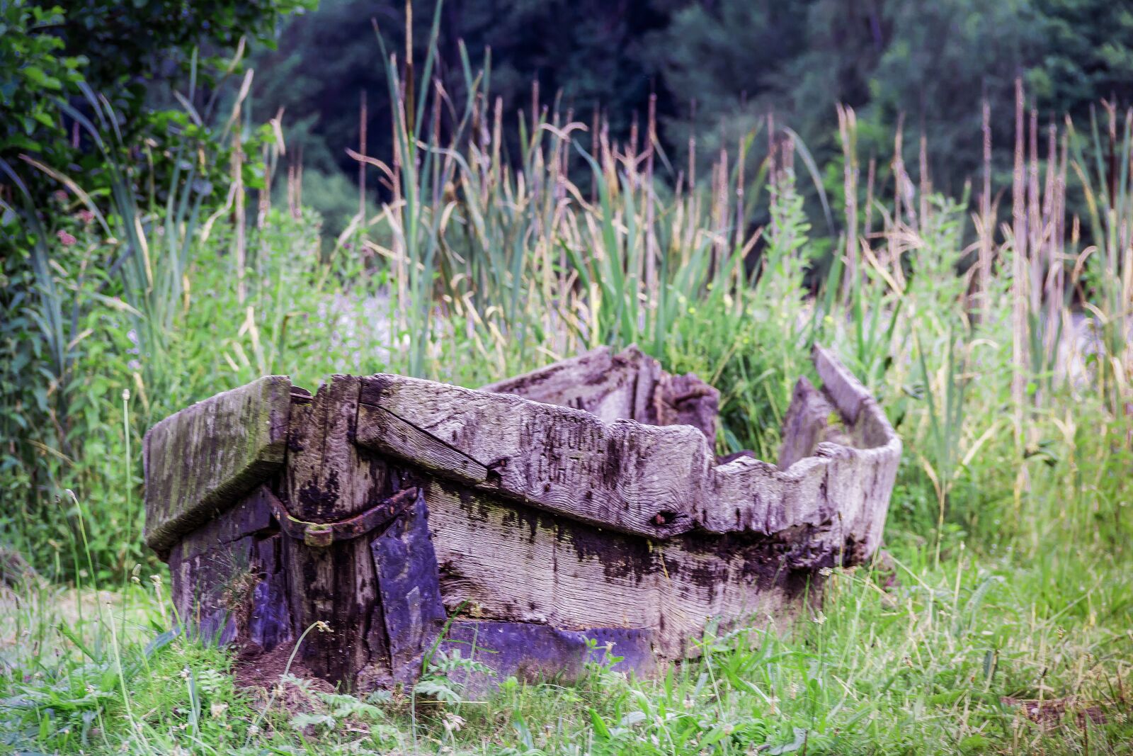 Canon EF-S 18-135mm F3.5-5.6 IS sample photo. Old boat, rotten boat photography